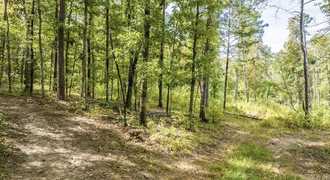 000 Pebble Drive  Clinton, AR