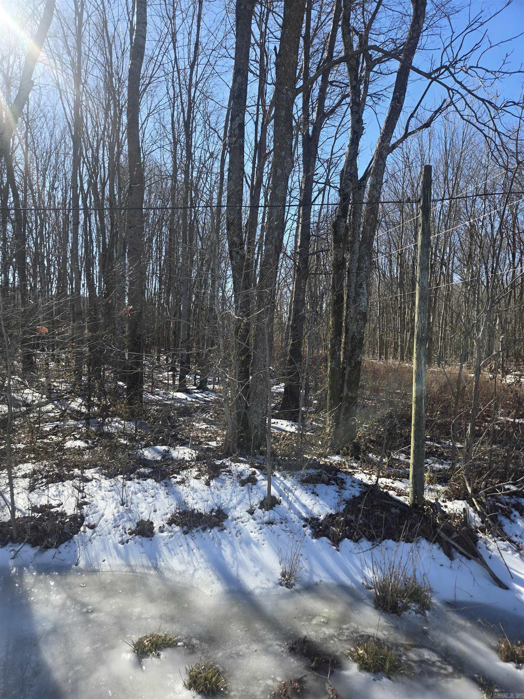 00 Highway 38 East  Cotton Plant, AR