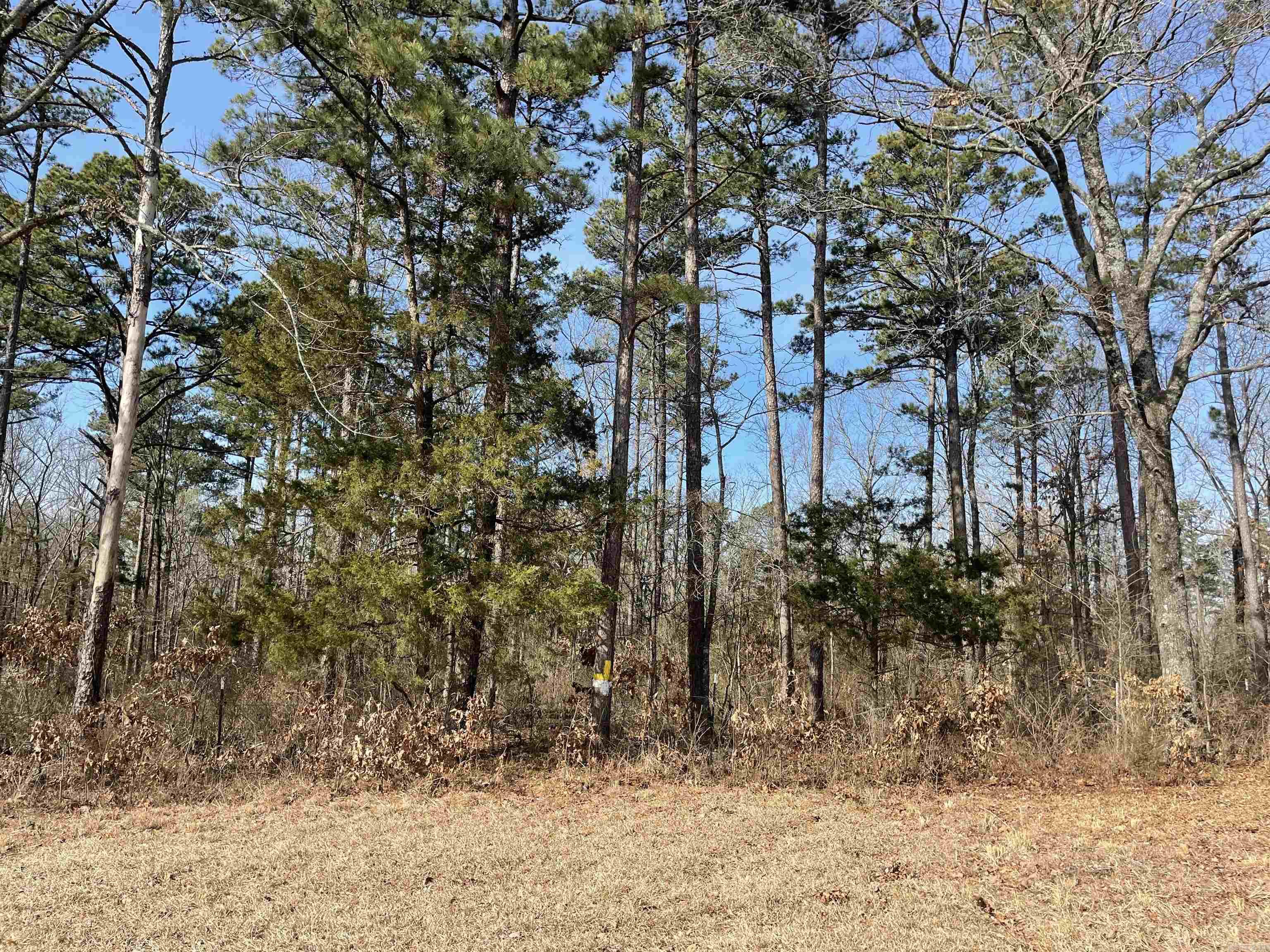 0000 N Heber Springs  Tumbling Shoals, AR