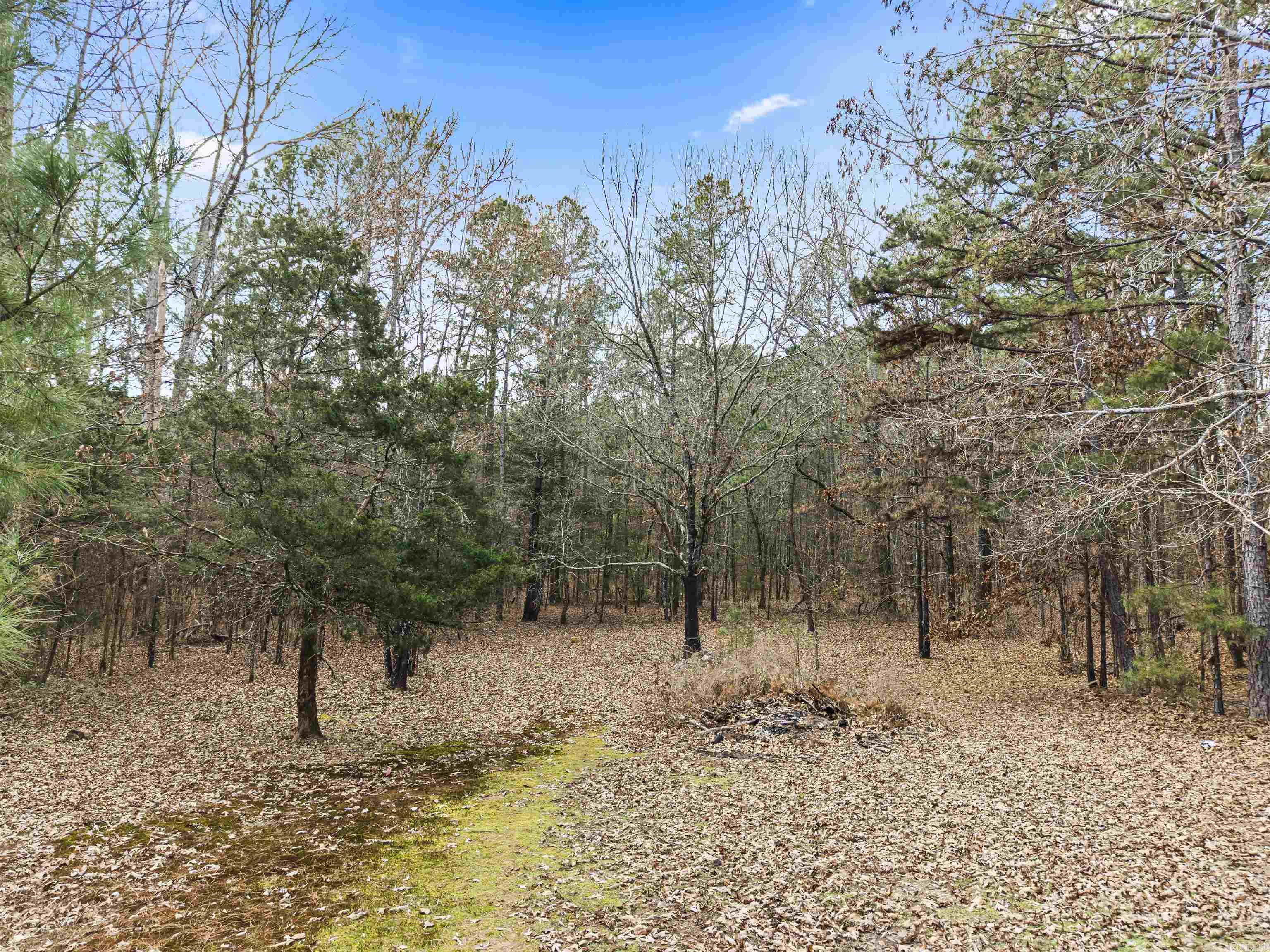 1122 Buckville  Jessieville, AR