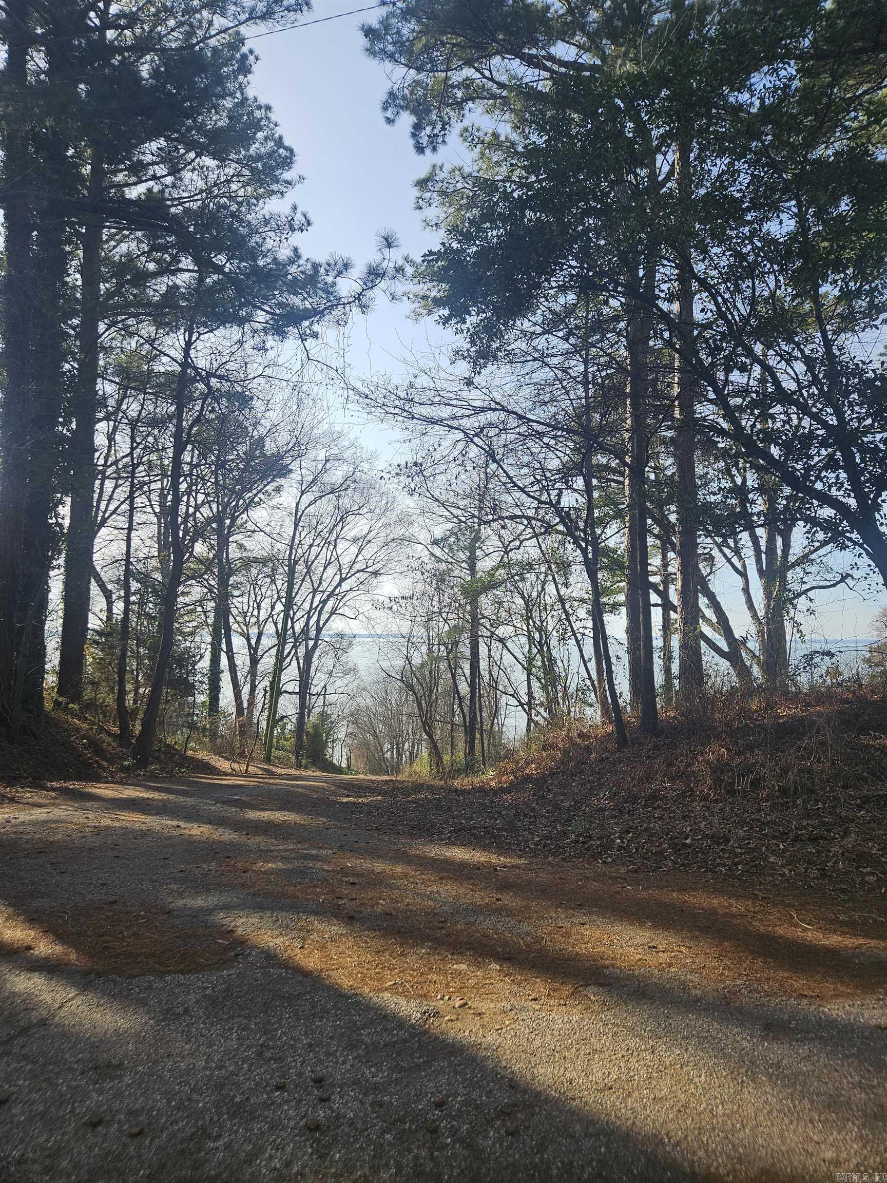 247 Southlake  Saratoga, AR