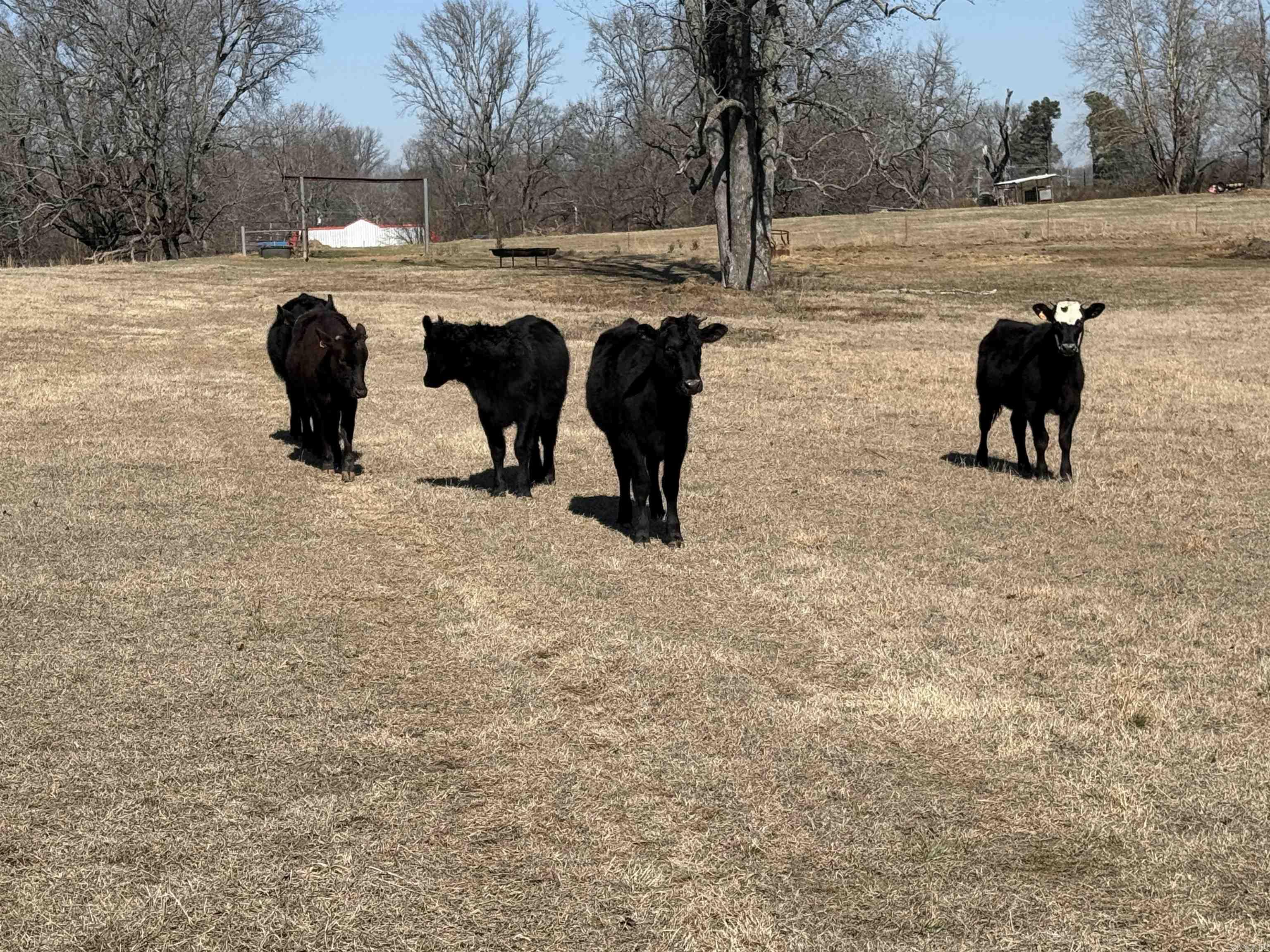 TRACT 1- 2003 Old Military Rd.  Jacksonville, AR