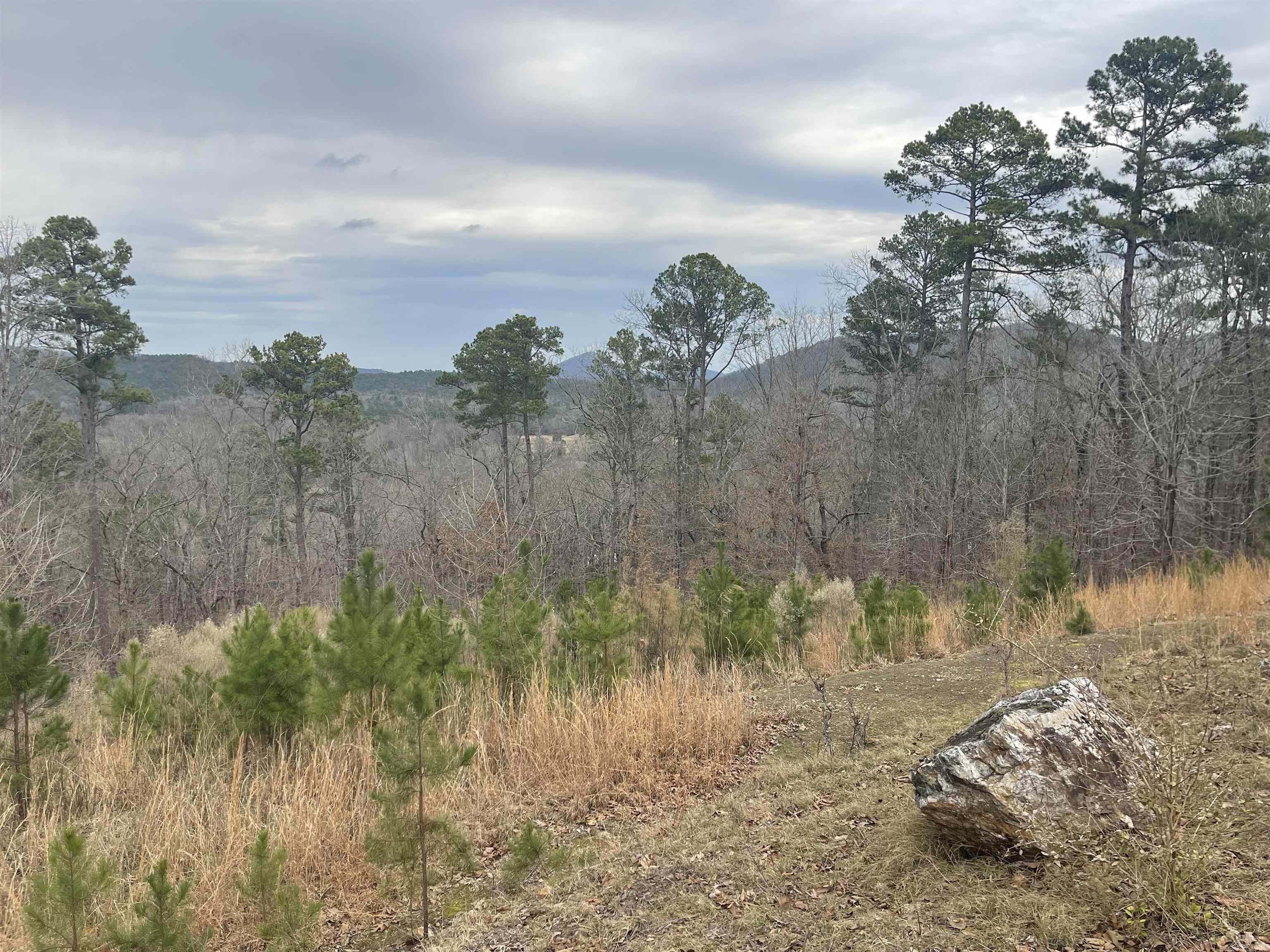 4001 Ridgefield  Little Rock, AR