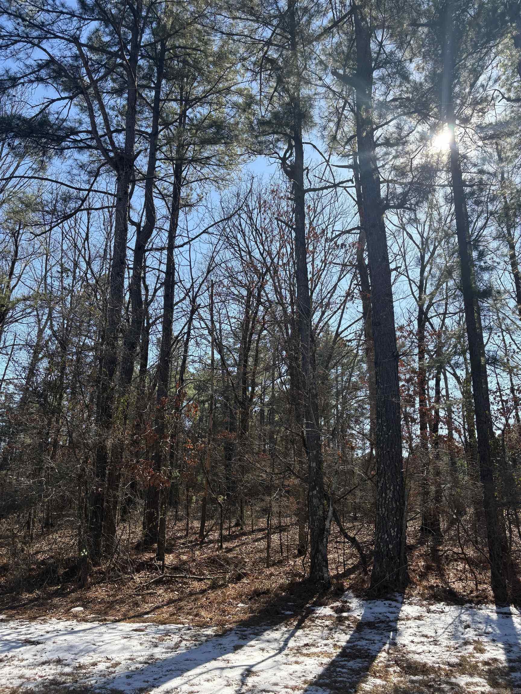 0 Kilcrease  Pine Bluff, AR