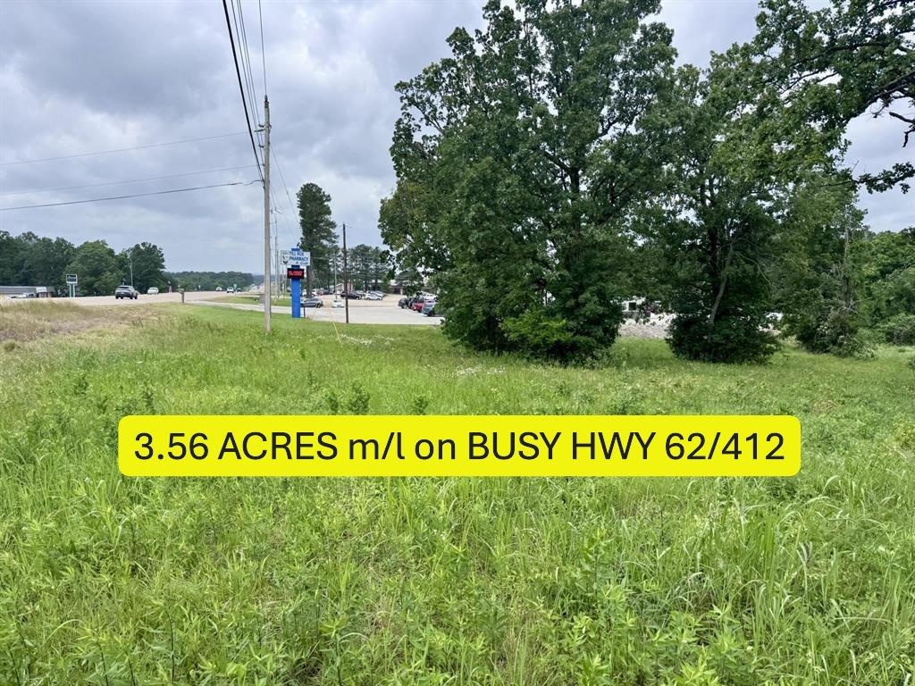  Hwy 62-412  Cherokee Village, AR