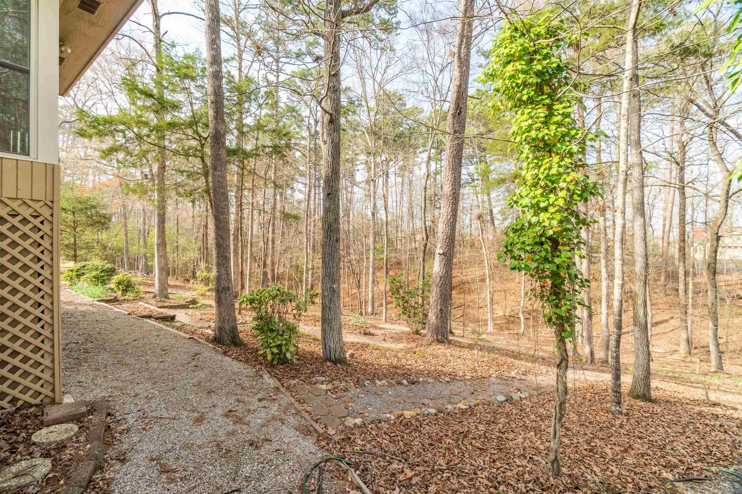 2 Quieto  Hot Springs Village, AR