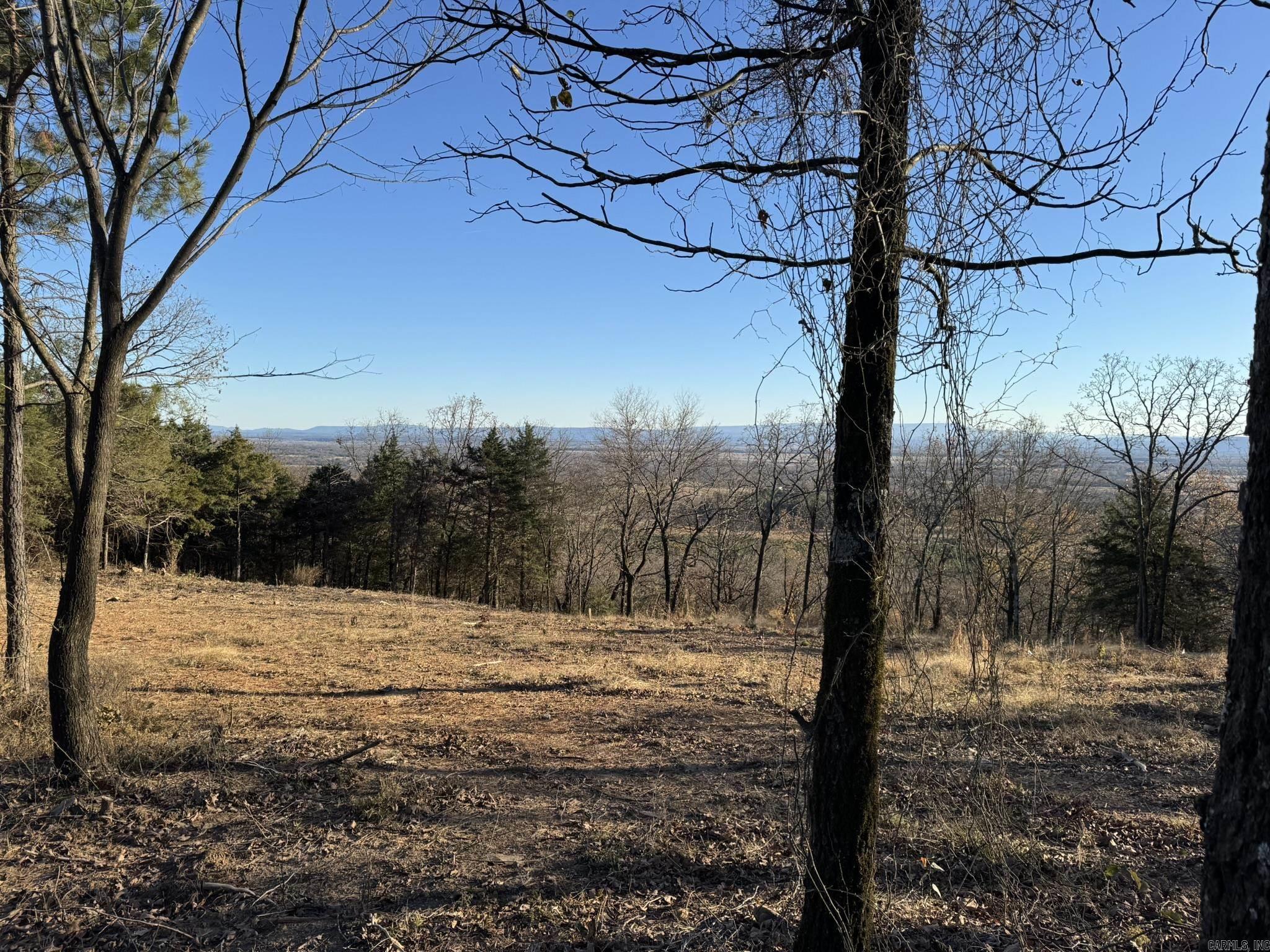 375 Vineyard Lane  Wiederkehr Village, AR