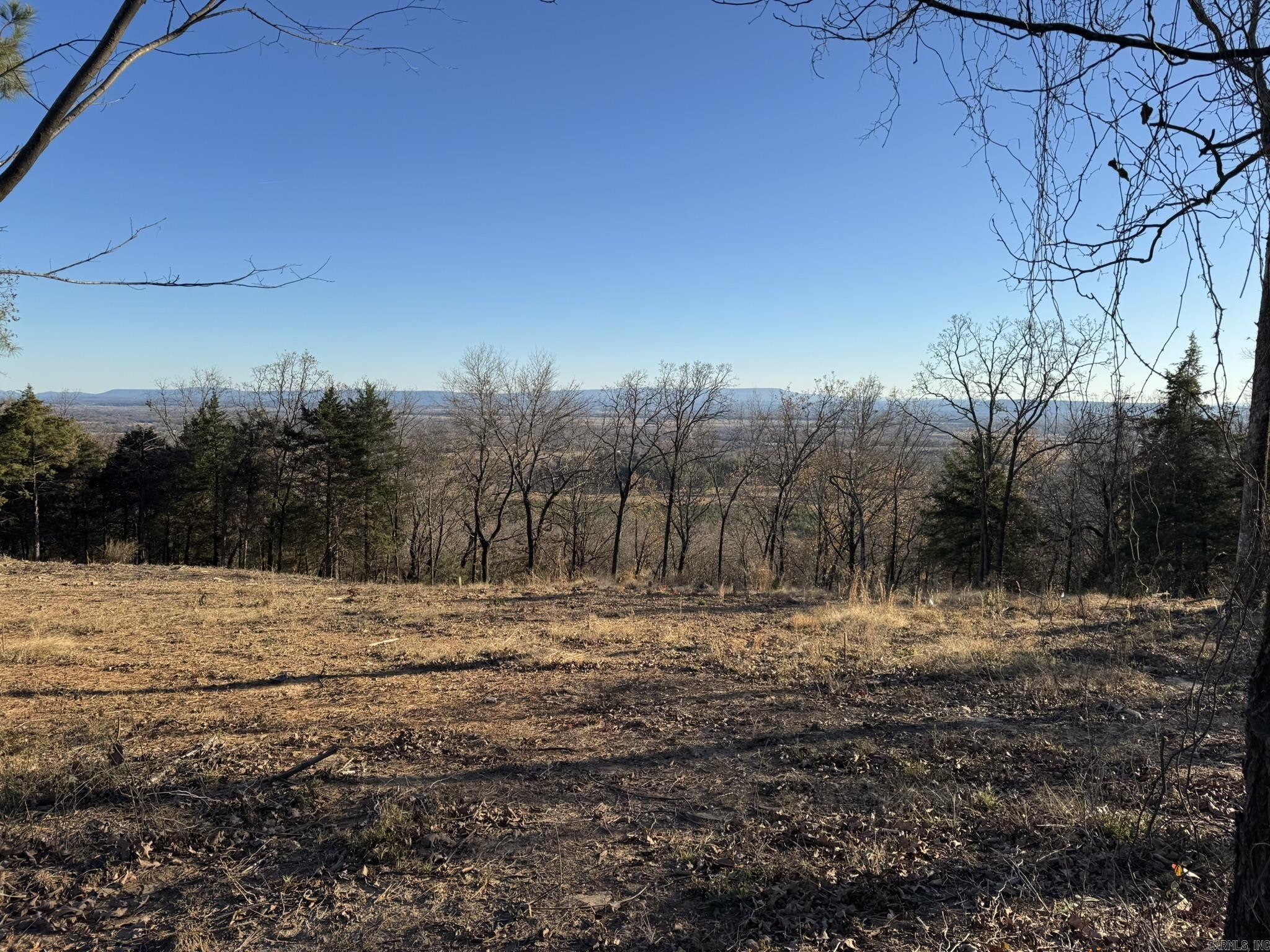 375 Vineyard Lane  Wiederkehr Village, AR