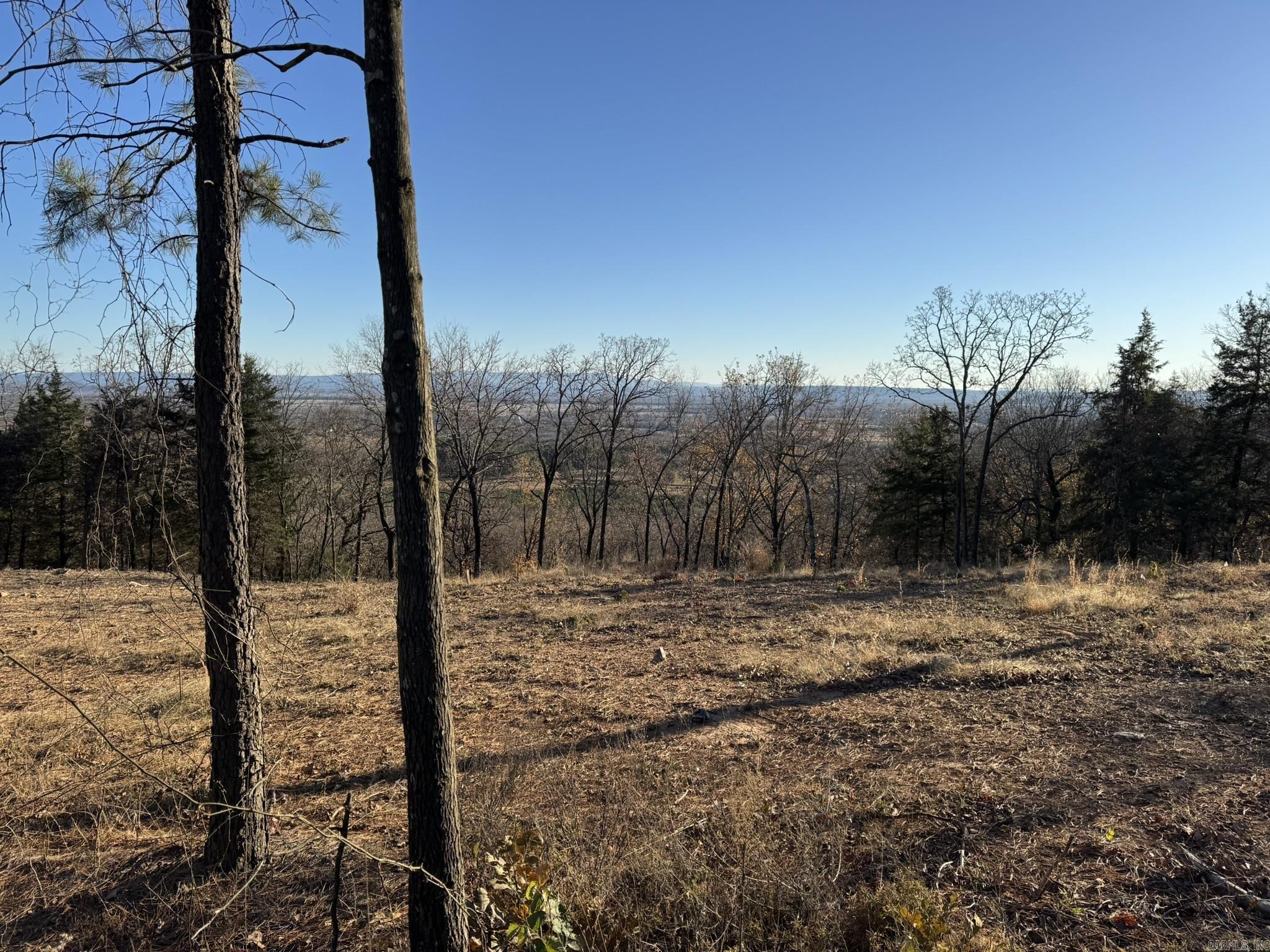 375 Vineyard Lane  Wiederkehr Village, AR