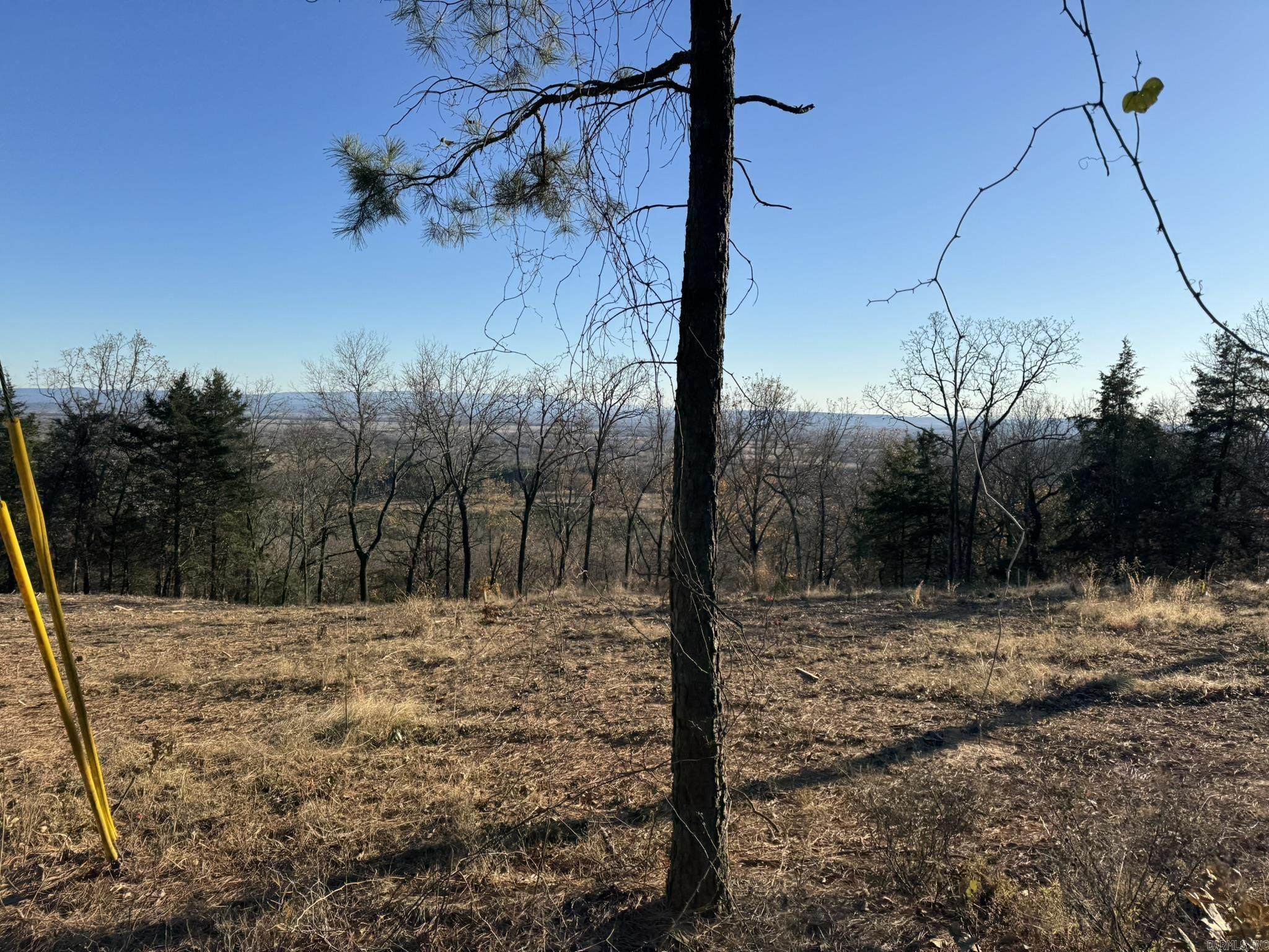 375 Vineyard Lane  Wiederkehr Village, AR