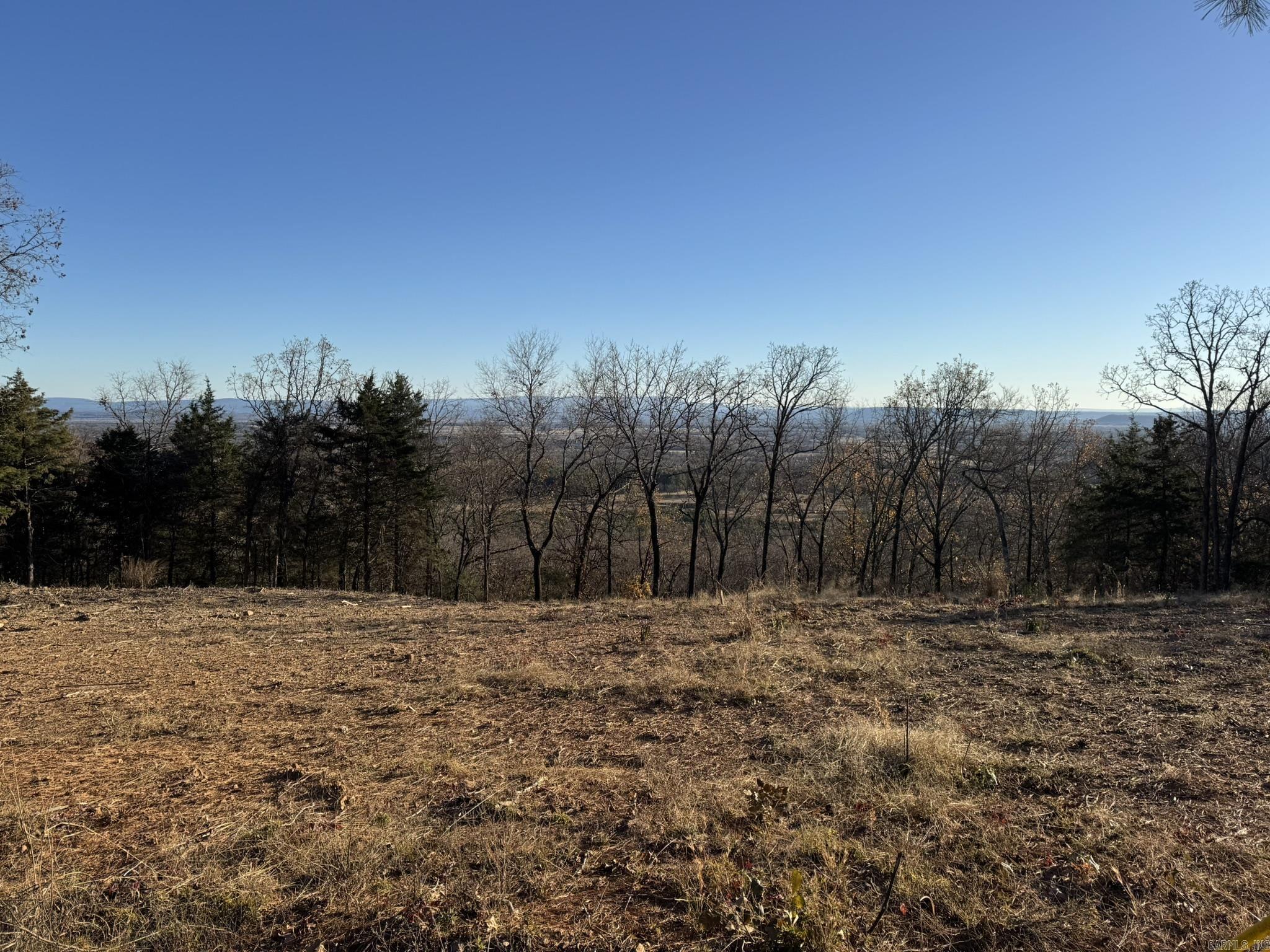 375 Vineyard Lane  Wiederkehr Village, AR