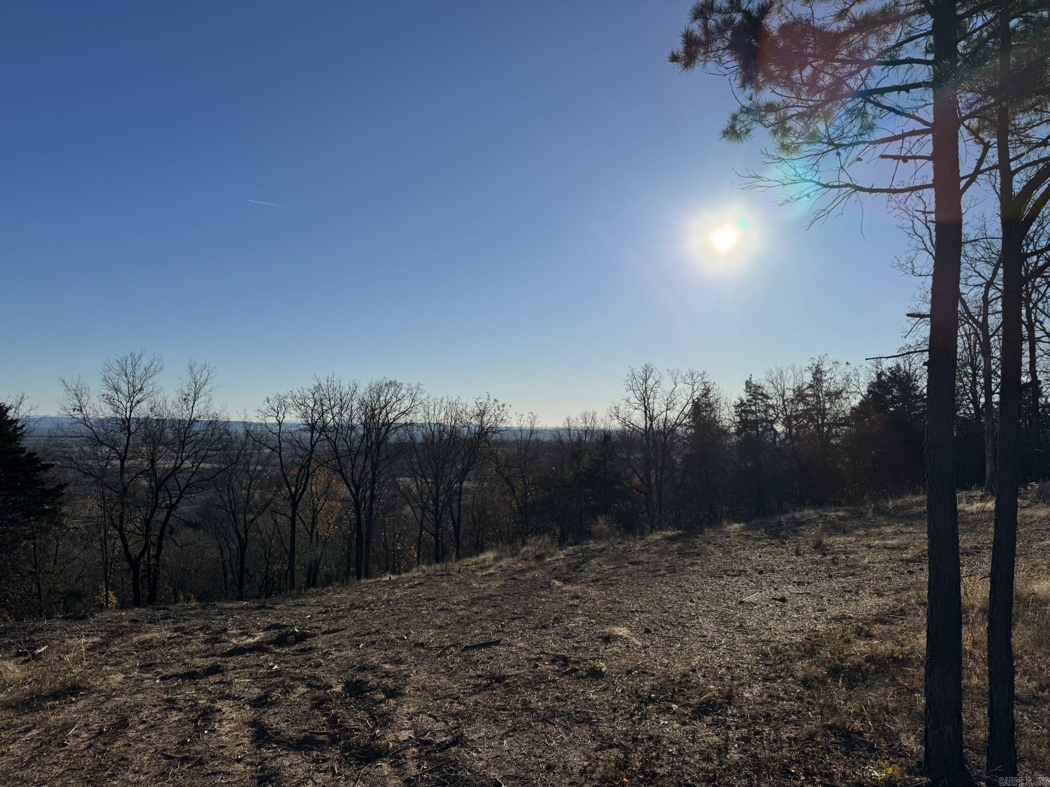 375 Vineyard Lane  Wiederkehr Village, AR