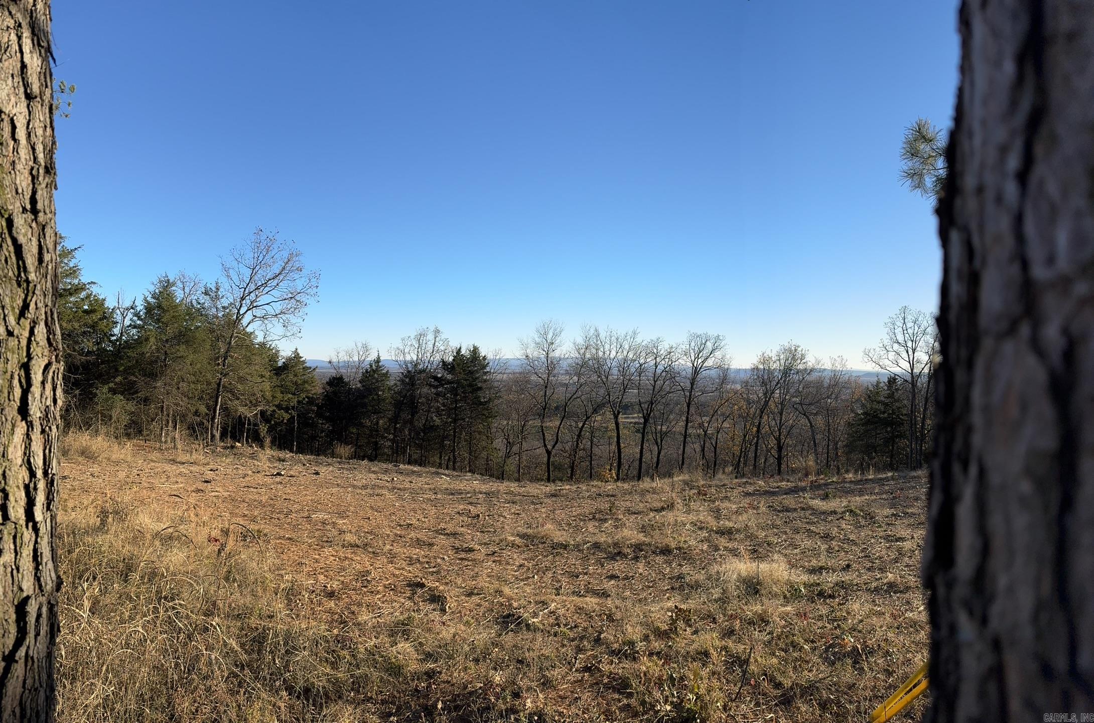 375 Vineyard Lane  Wiederkehr Village, AR