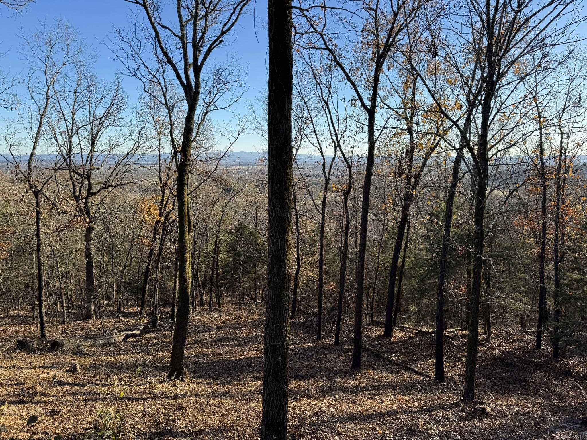 375 Vineyard Lane  Wiederkehr Village, AR