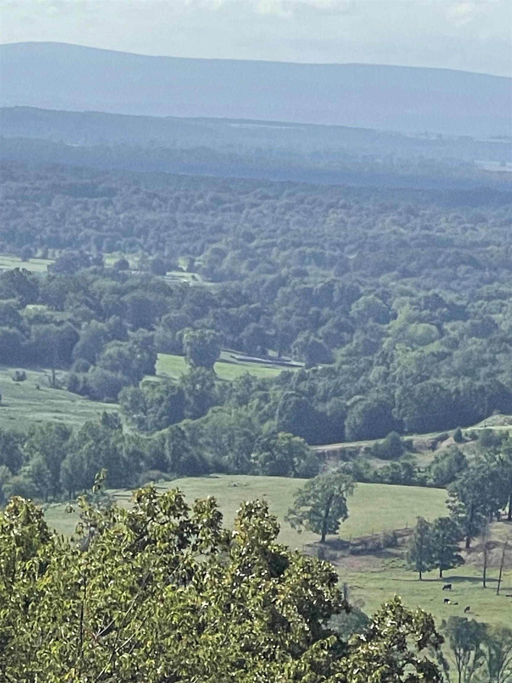 375 Vineyard Lane  Wiederkehr Village, AR