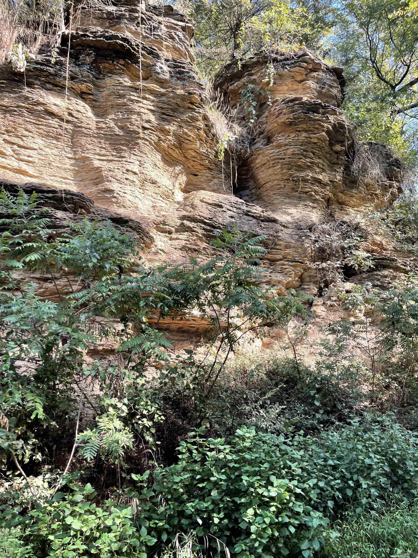 375 Vineyard Lane  Wiederkehr Village, AR