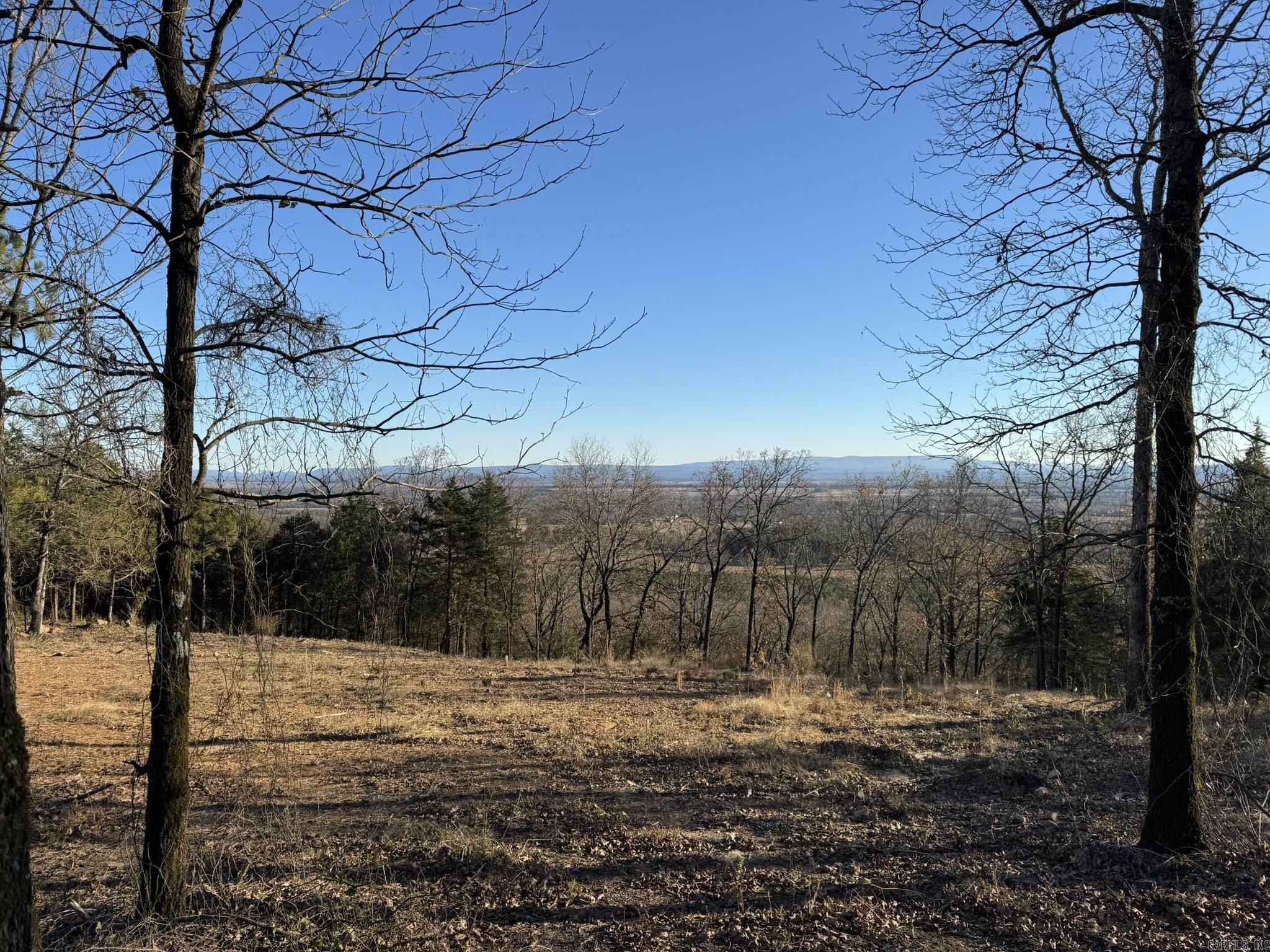 375 Vineyard Lane  Wiederkehr Village, AR