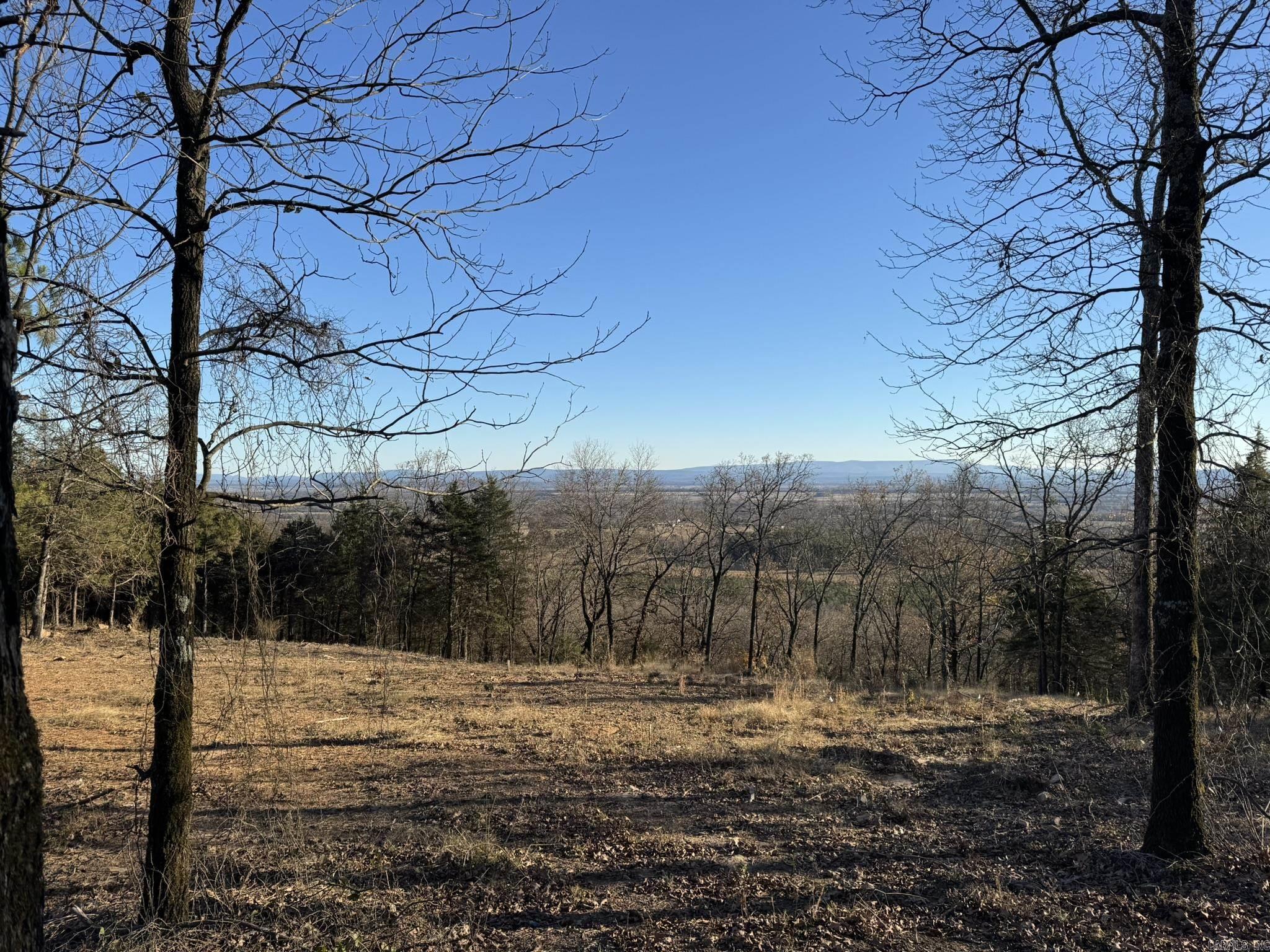 375 Vineyard Lane  Wiederkehr Village, AR