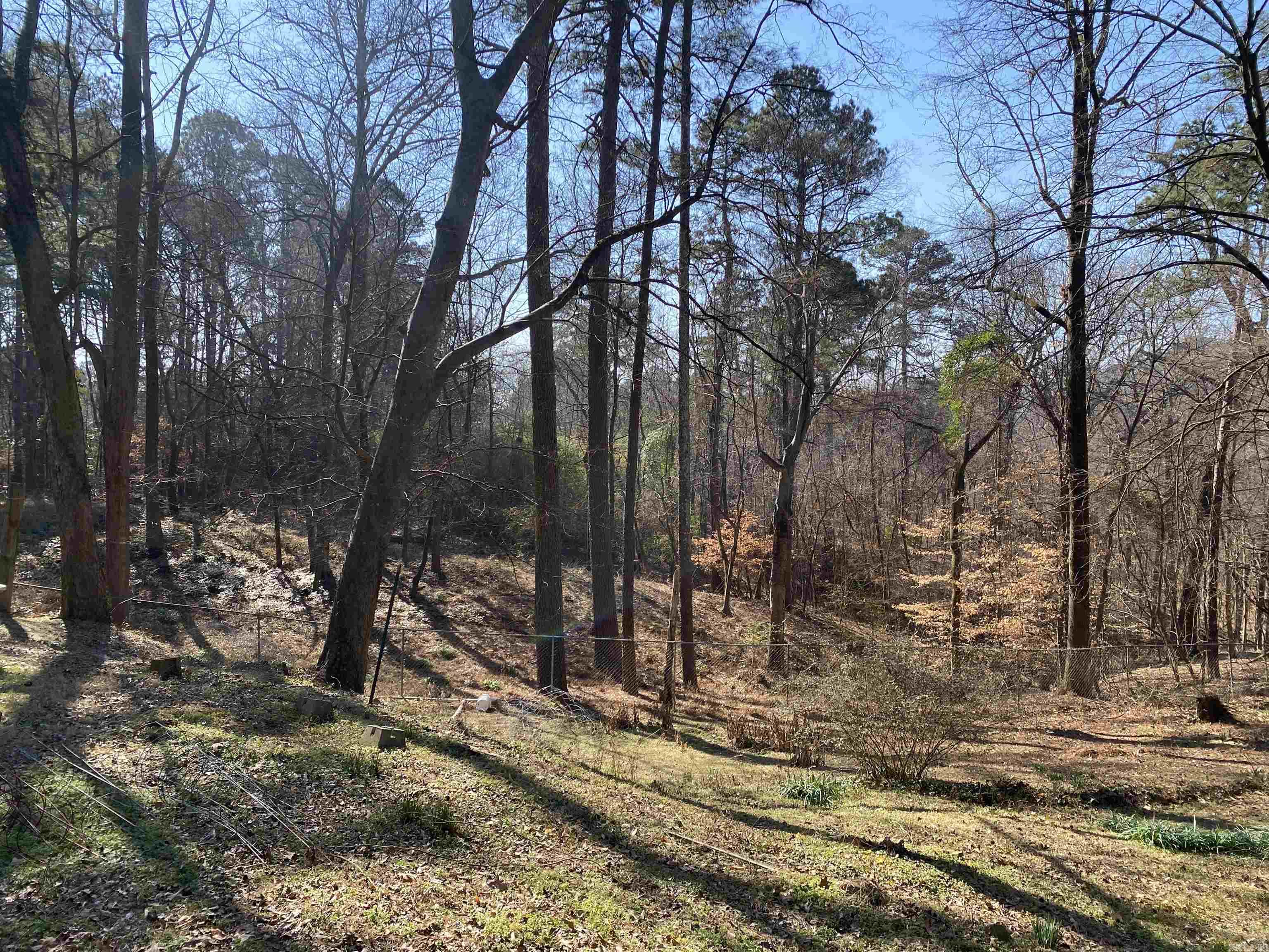 1009 and 1011 Country Club  Arkadelphia, AR