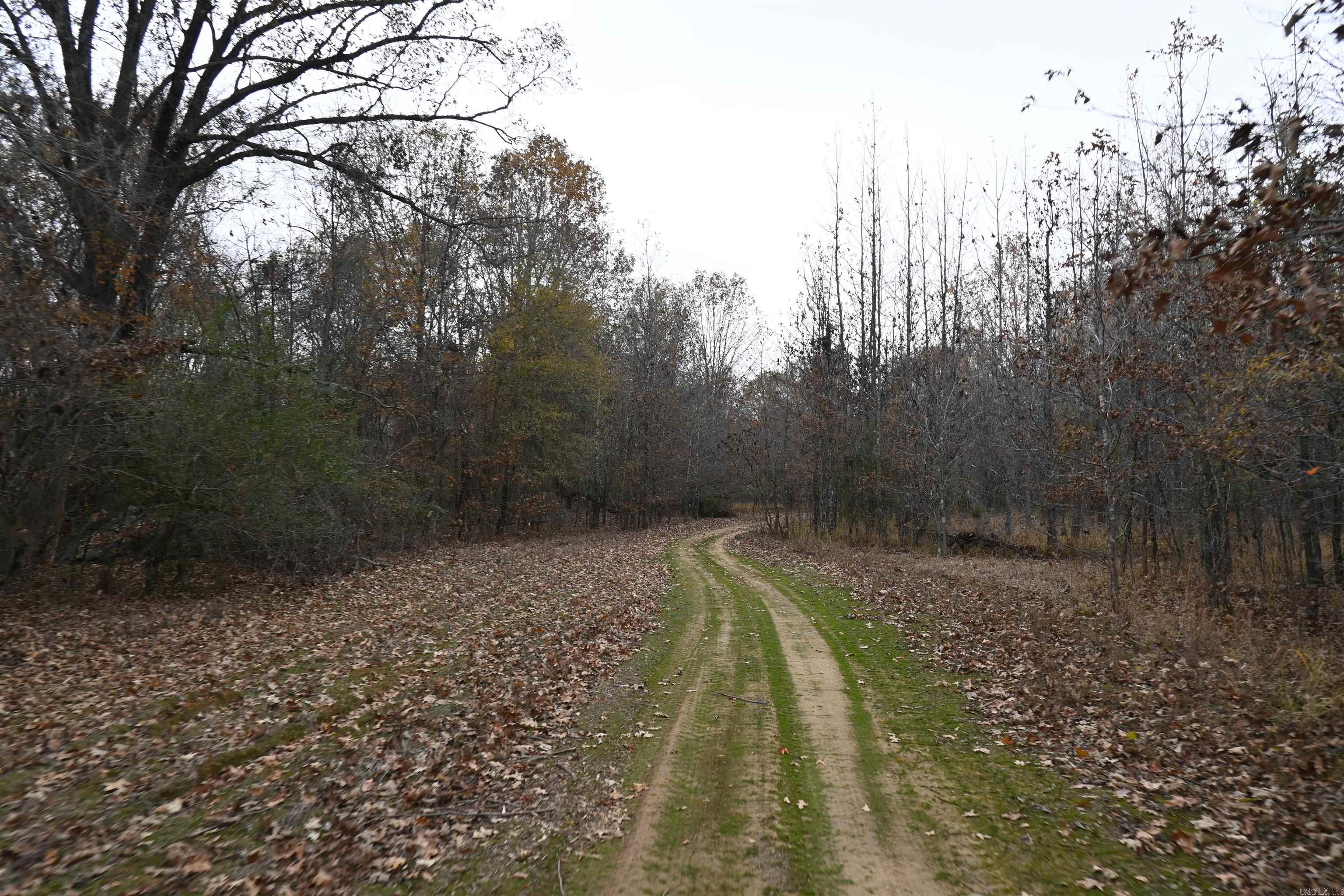 512 Owens Ln  Casscoe, AR