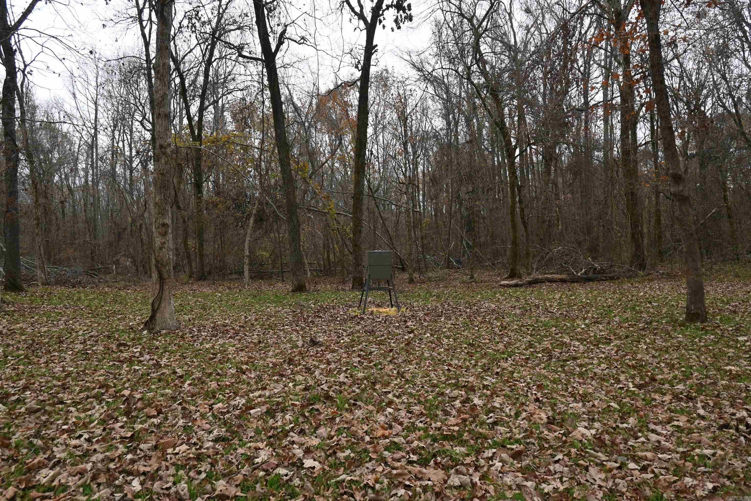 512 Owens Ln  Casscoe, AR