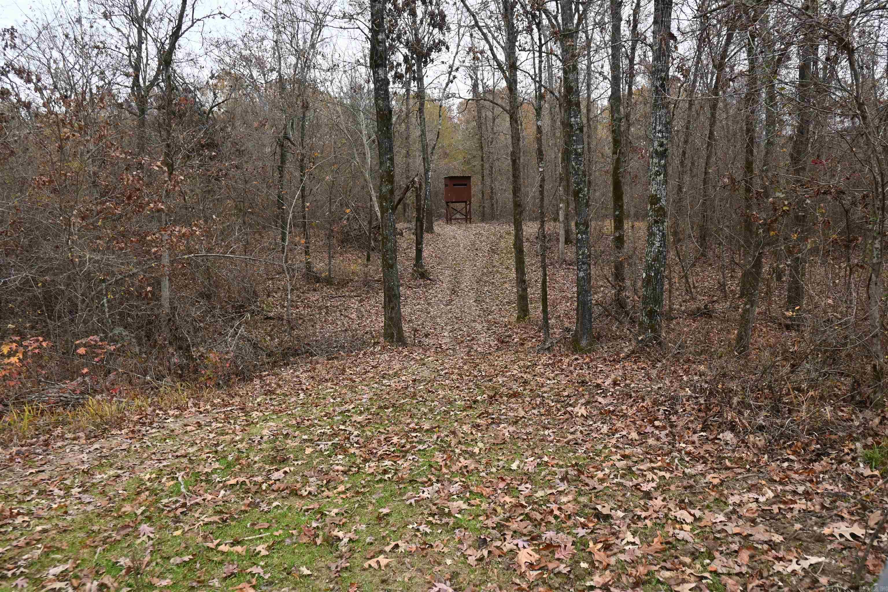 512 Owens Ln  Casscoe, AR