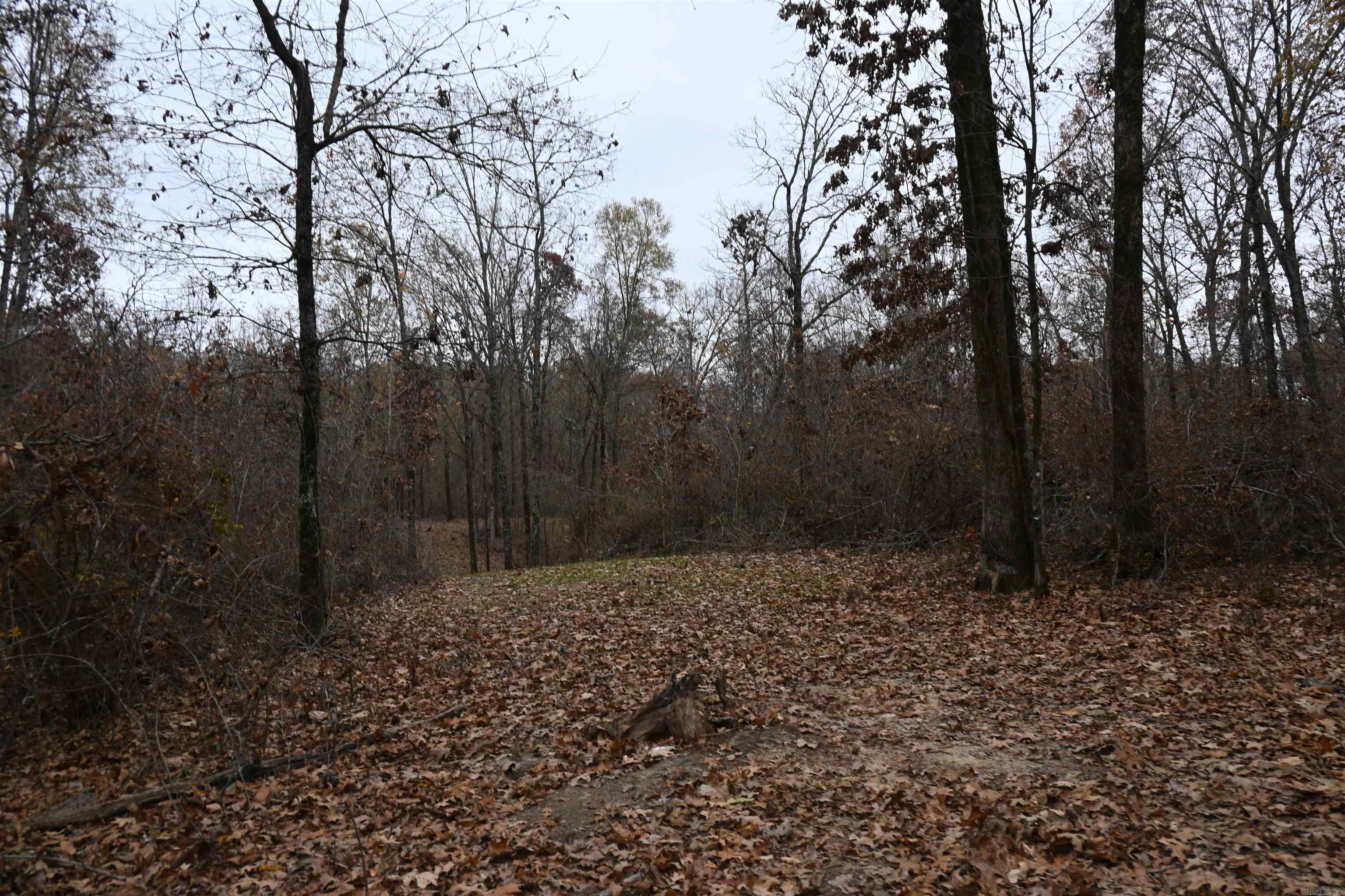 512 Owens Ln  Casscoe, AR