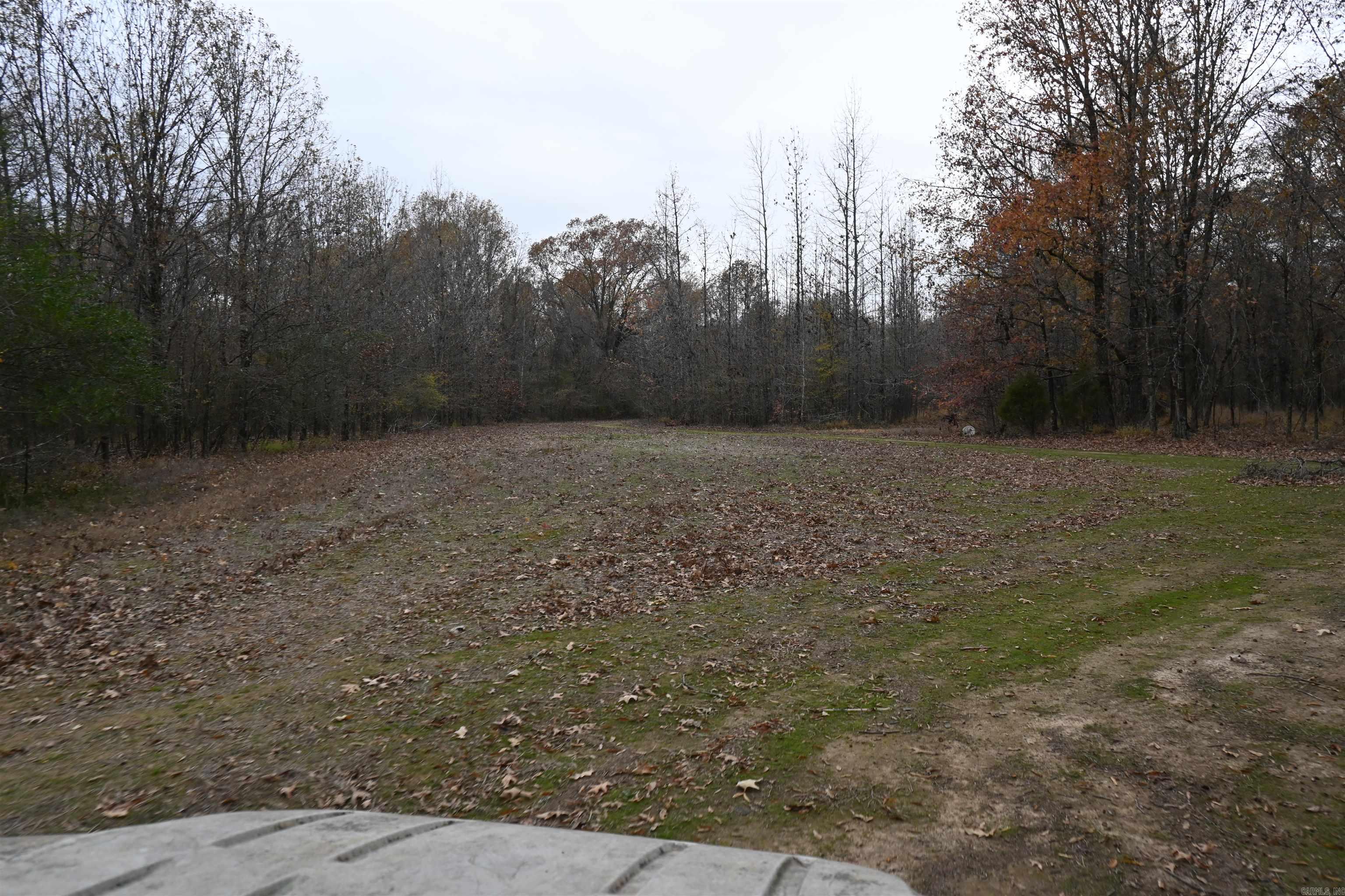 512 Owens Ln  Casscoe, AR