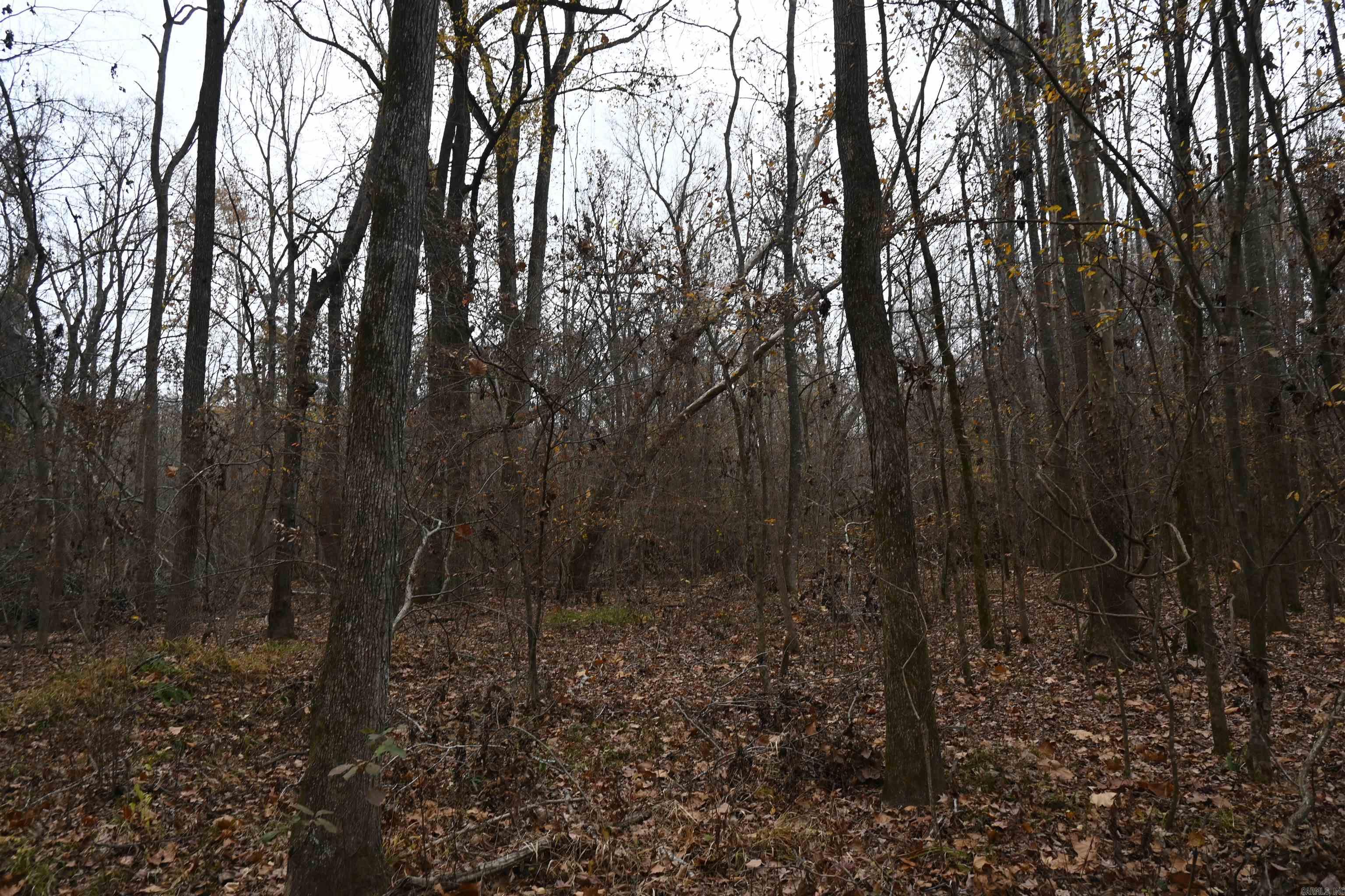 512 Owens Ln  Casscoe, AR