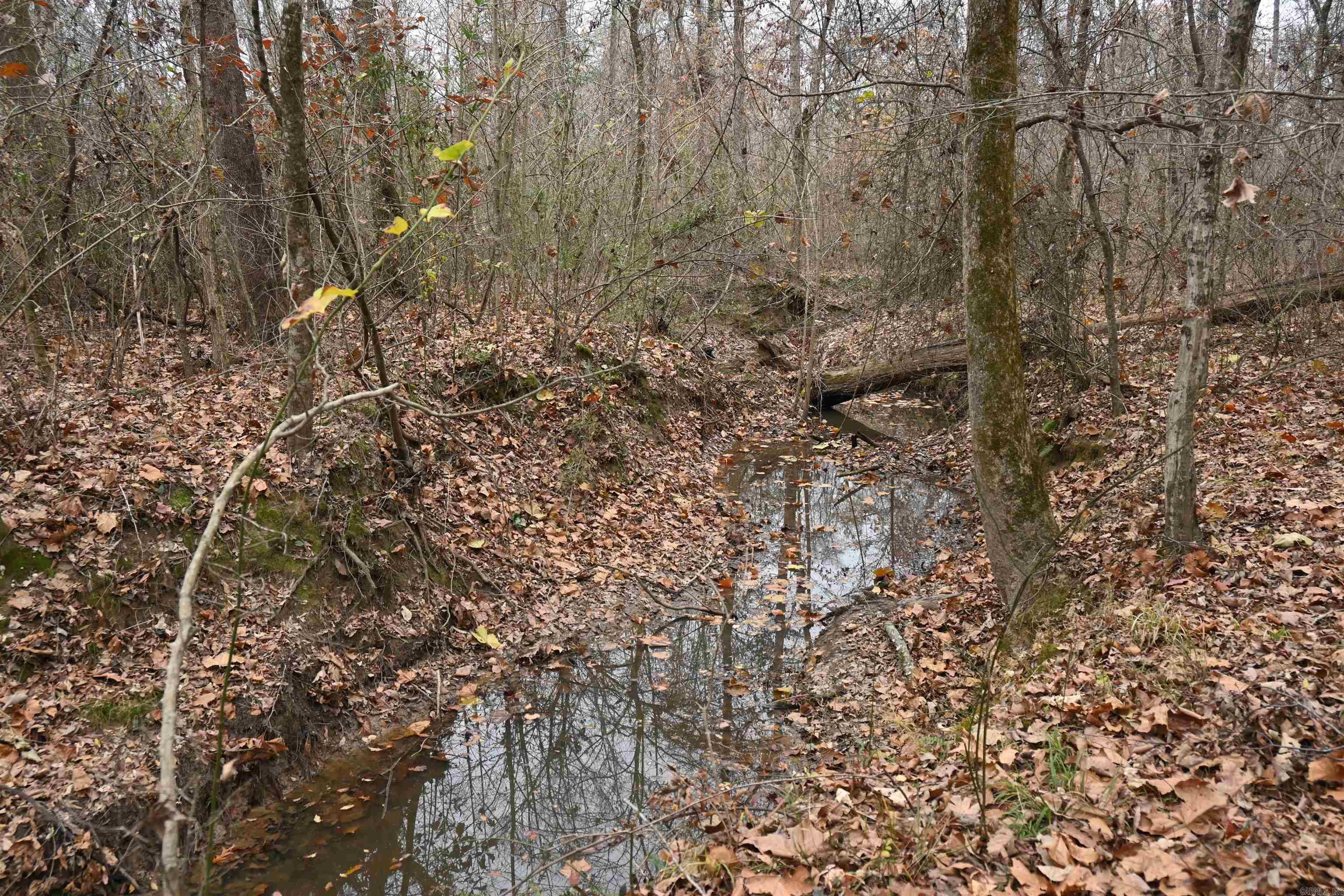 512 Owens Ln  Casscoe, AR