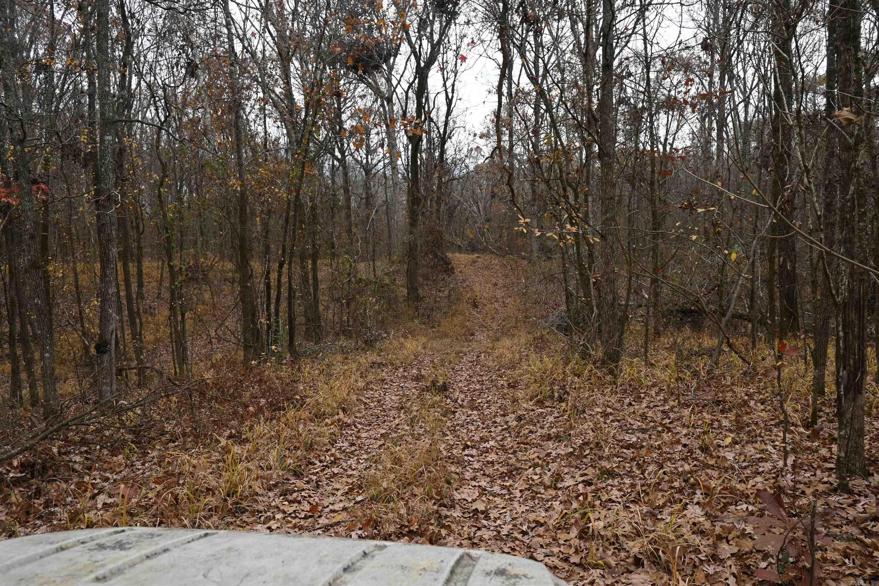 512 Owens Ln  Casscoe, AR