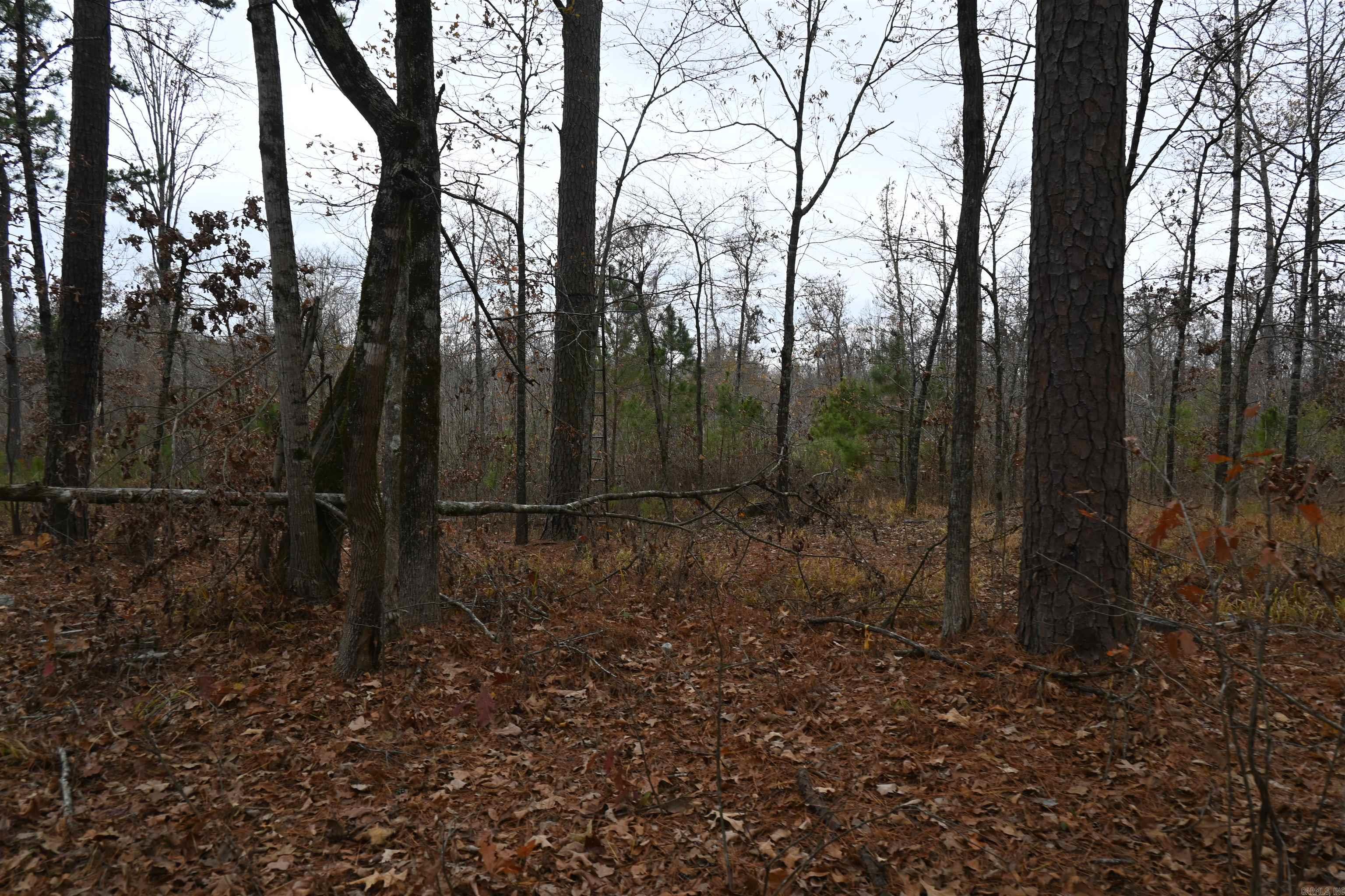 512 Owens Ln  Casscoe, AR