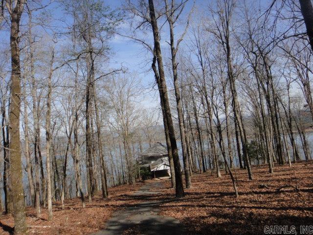 85 Bluff View Drive Quitman, AR 72131