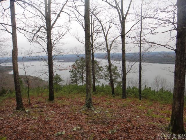 85 Bluff View Drive Quitman, AR 72131