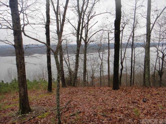 85 Bluff View Drive Quitman, AR 72131