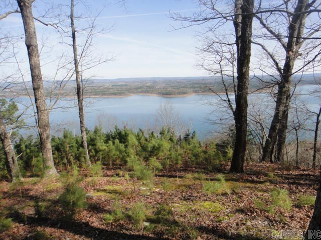 85 Bluff View Drive Quitman, AR 72131