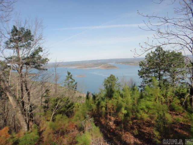 85 Bluff View Drive Quitman, AR 72131