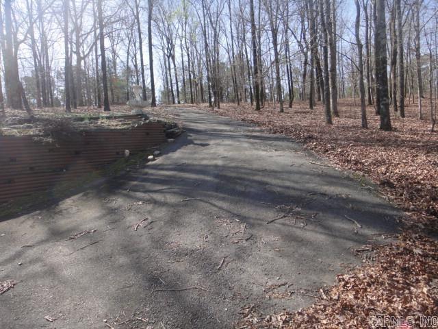 85 Bluff View Drive Quitman, AR 72131