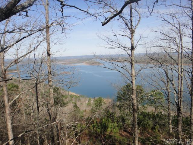 85 Bluff View Drive Quitman, AR 72131