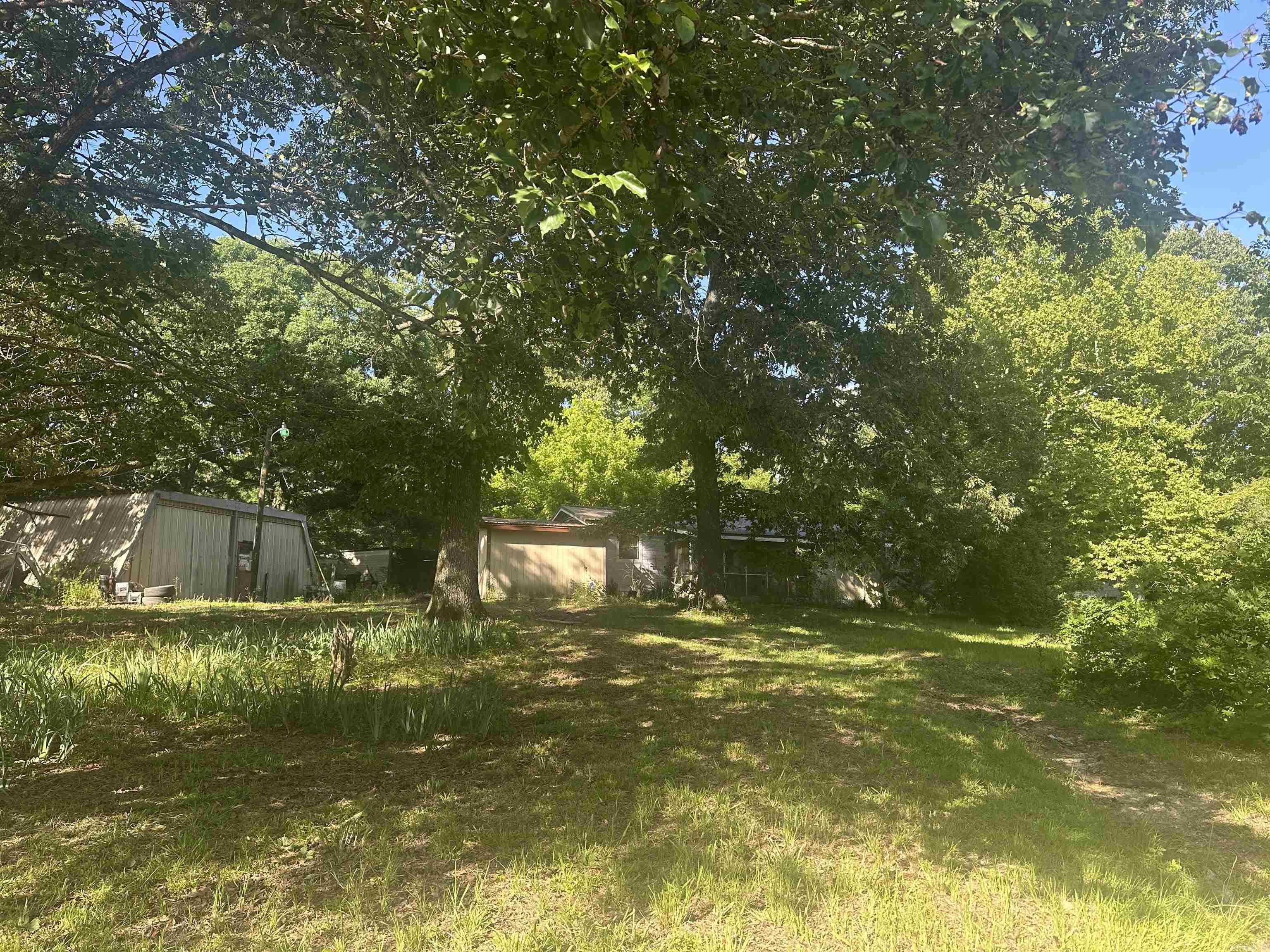 167 Polk road 286 Hatfield, AR 71945