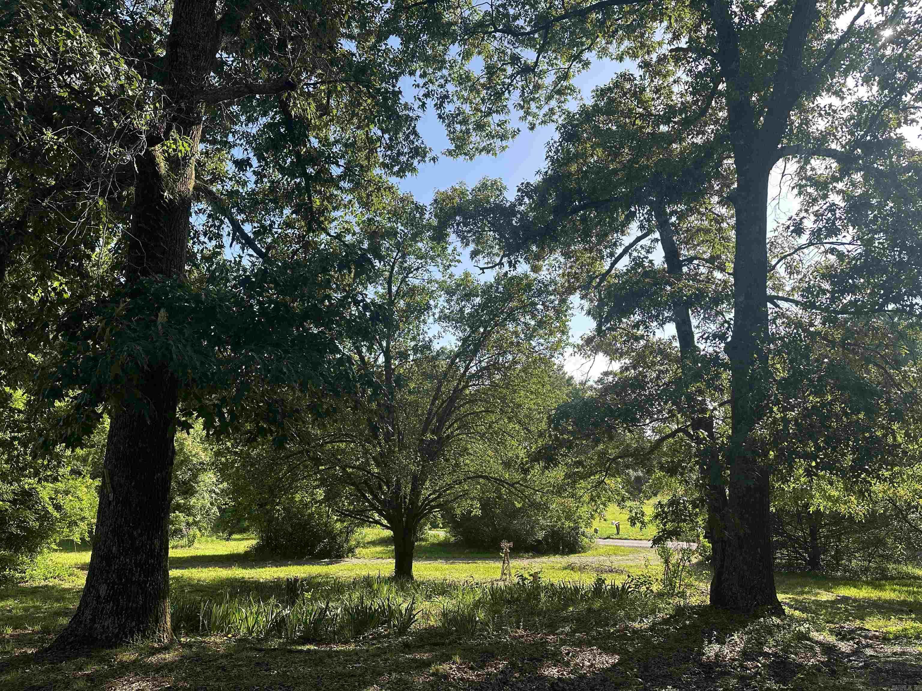 167 Polk road 286 Hatfield, AR 71945