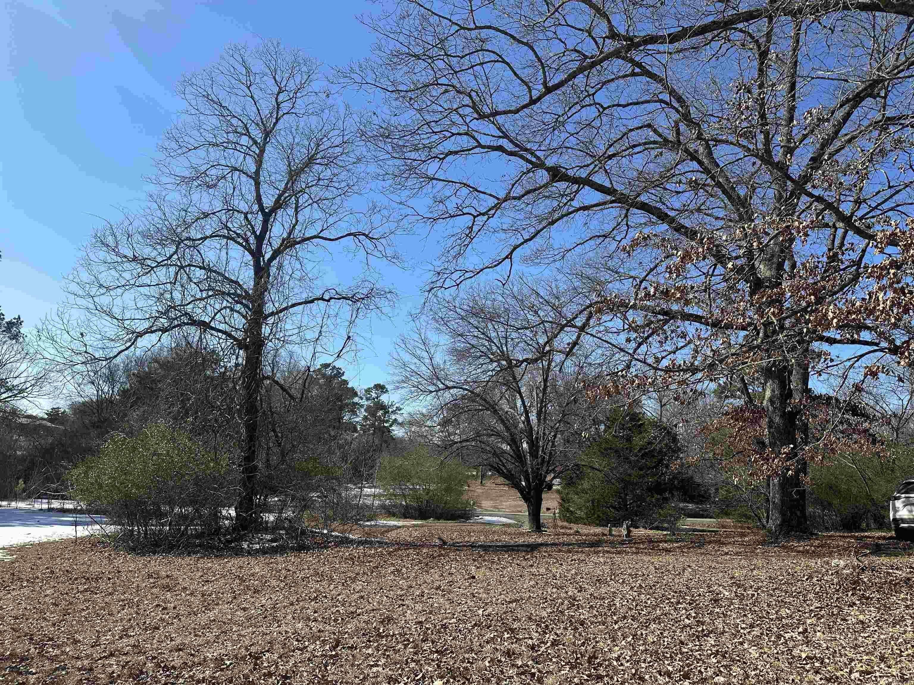 167 Polk road 286  Hatfield, AR