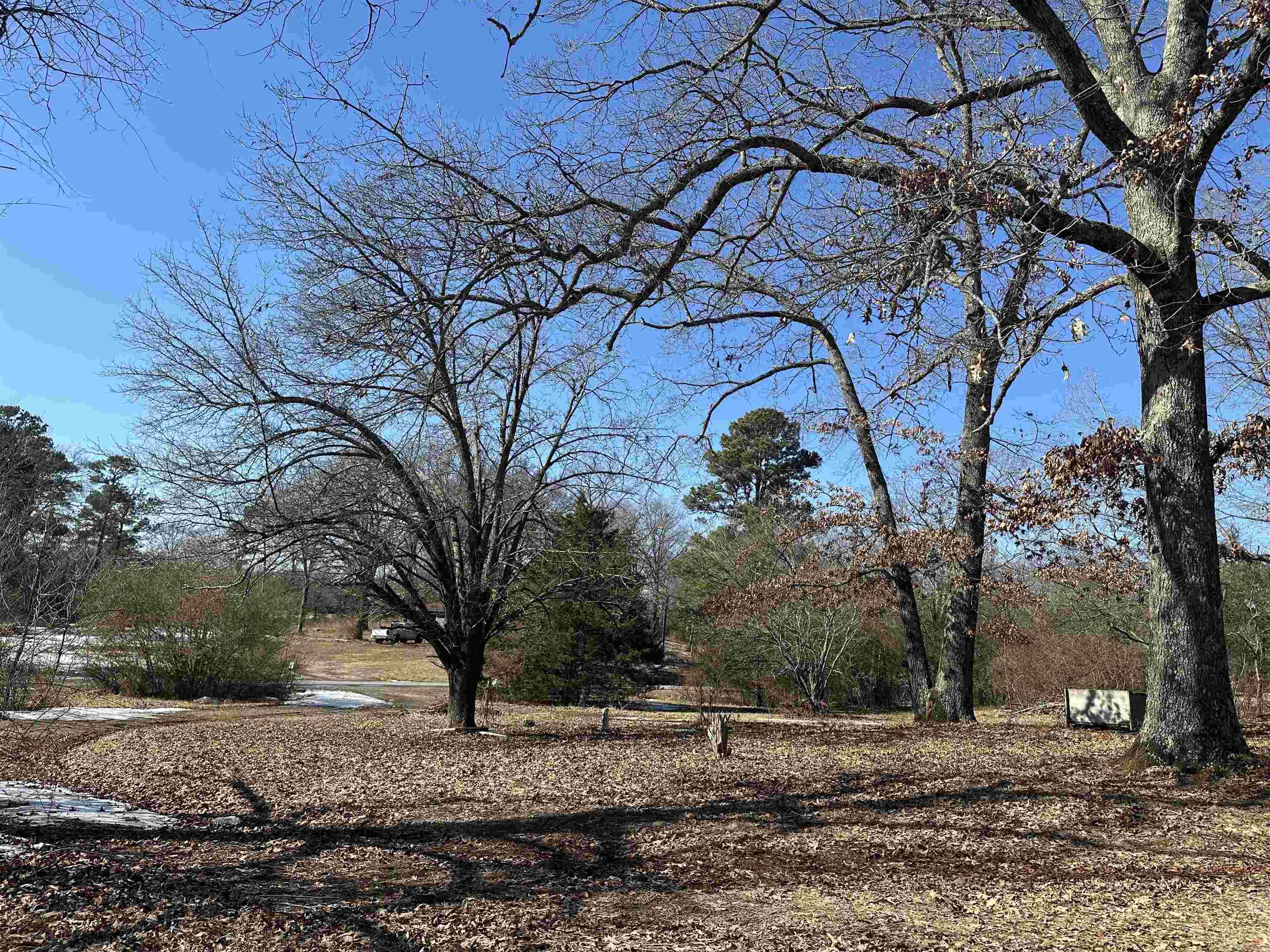 167 Polk road 286 Hatfield, AR 71945