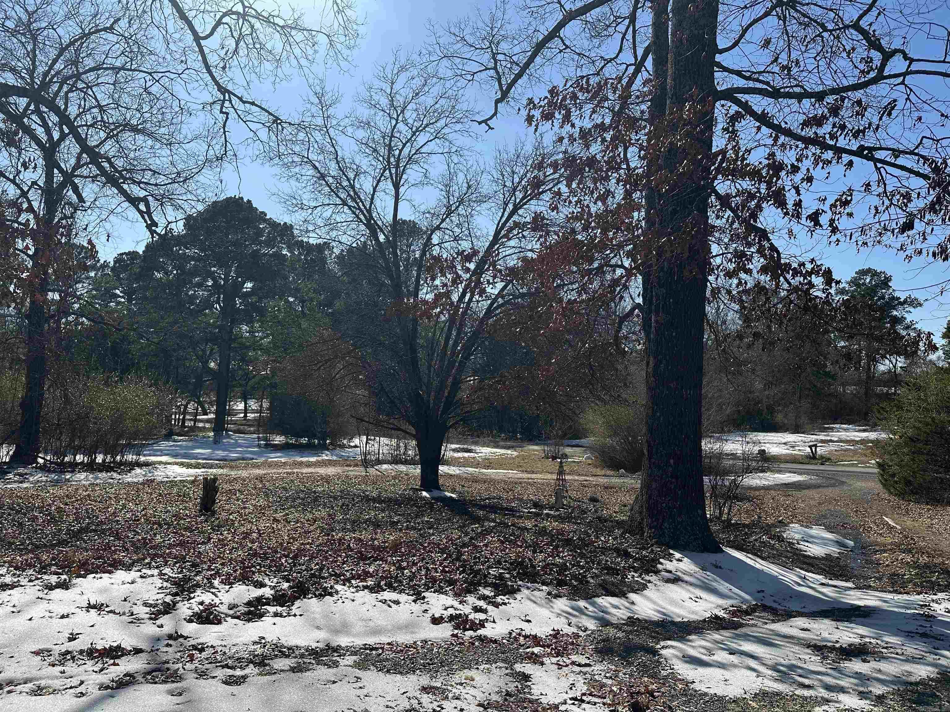 167 Polk road 286 Hatfield, AR 71945