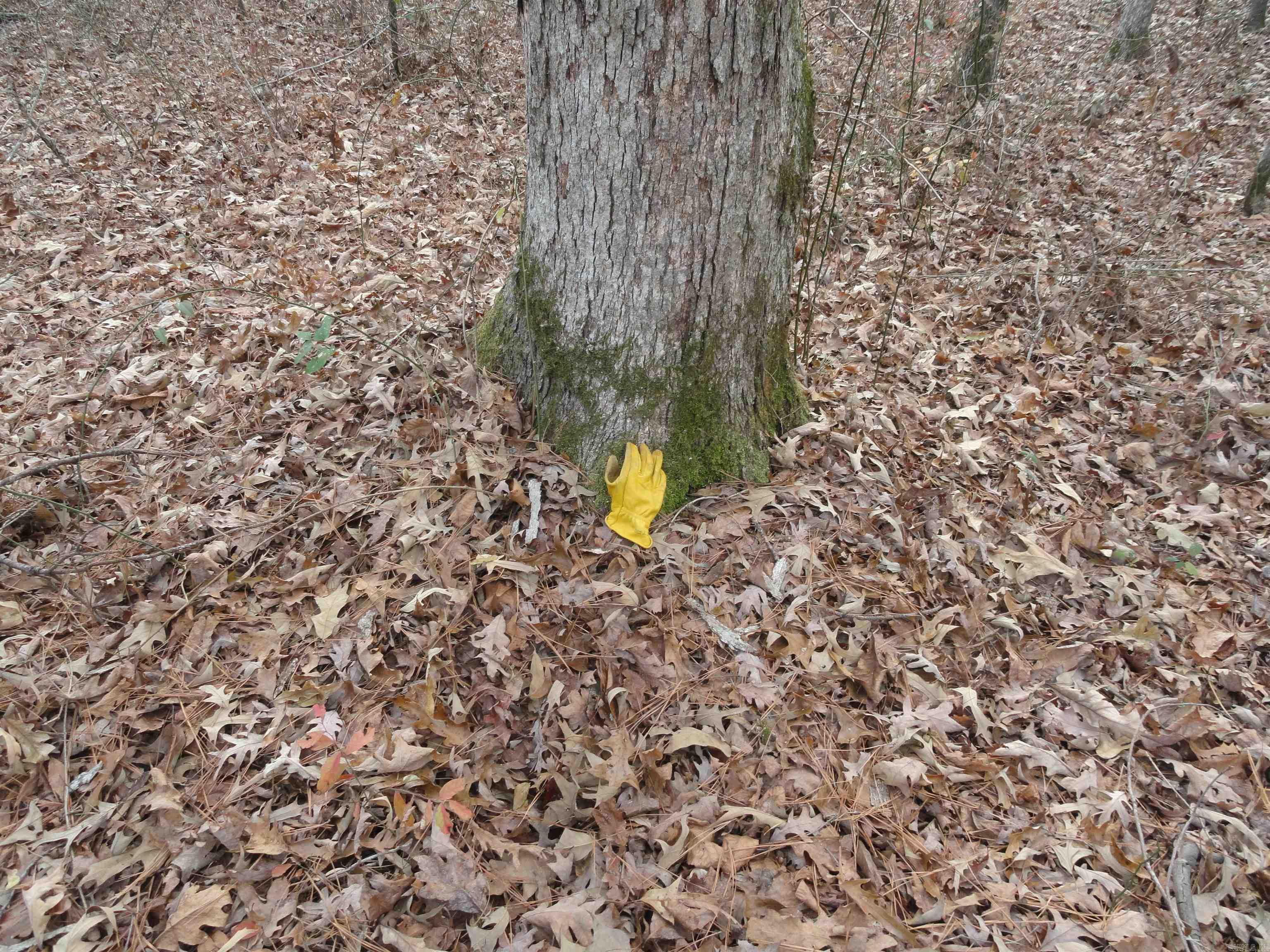 26020 Hensley  Hensley, AR