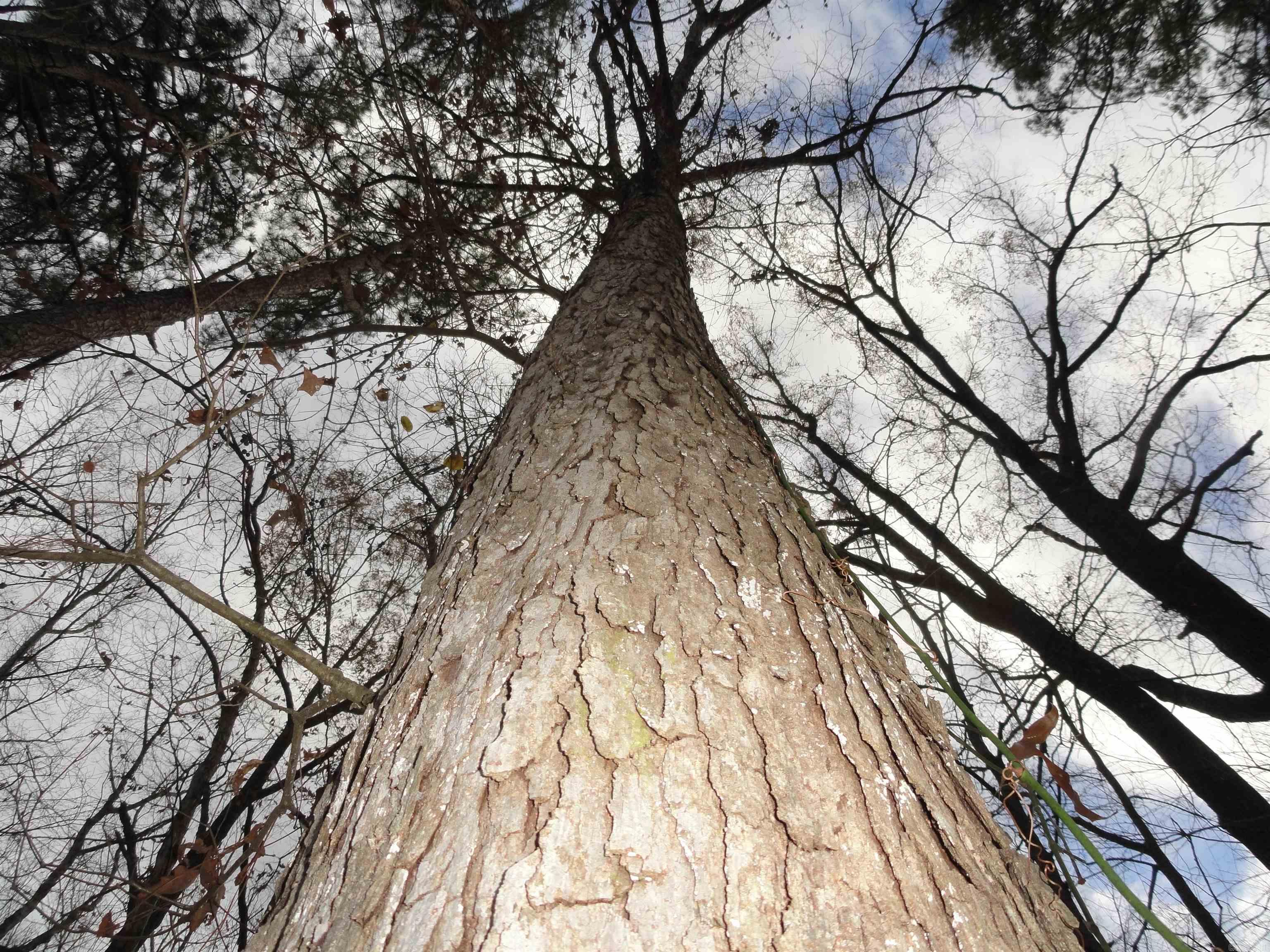 26020 Hensley  Hensley, AR