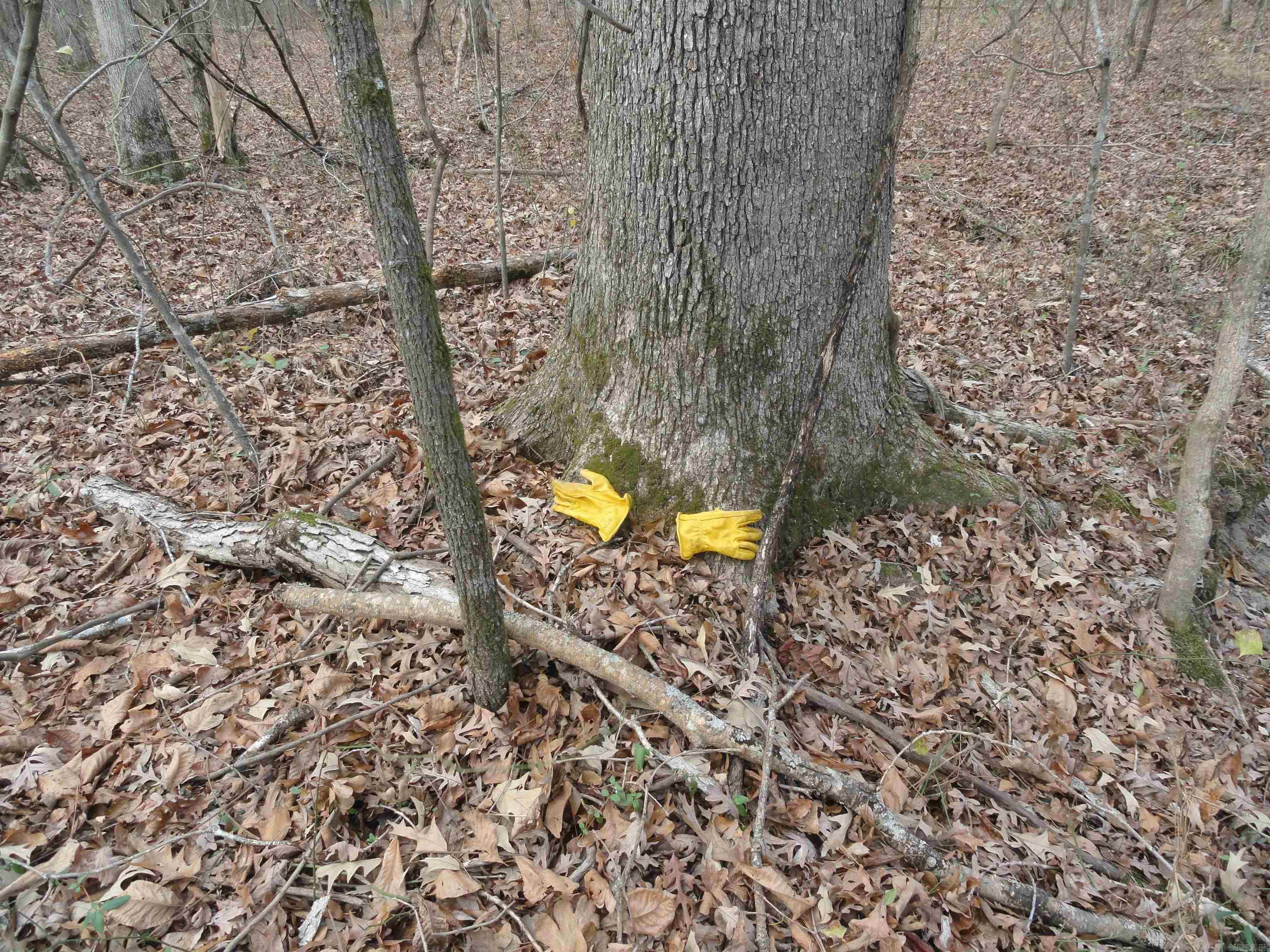 26020 Hensley  Hensley, AR