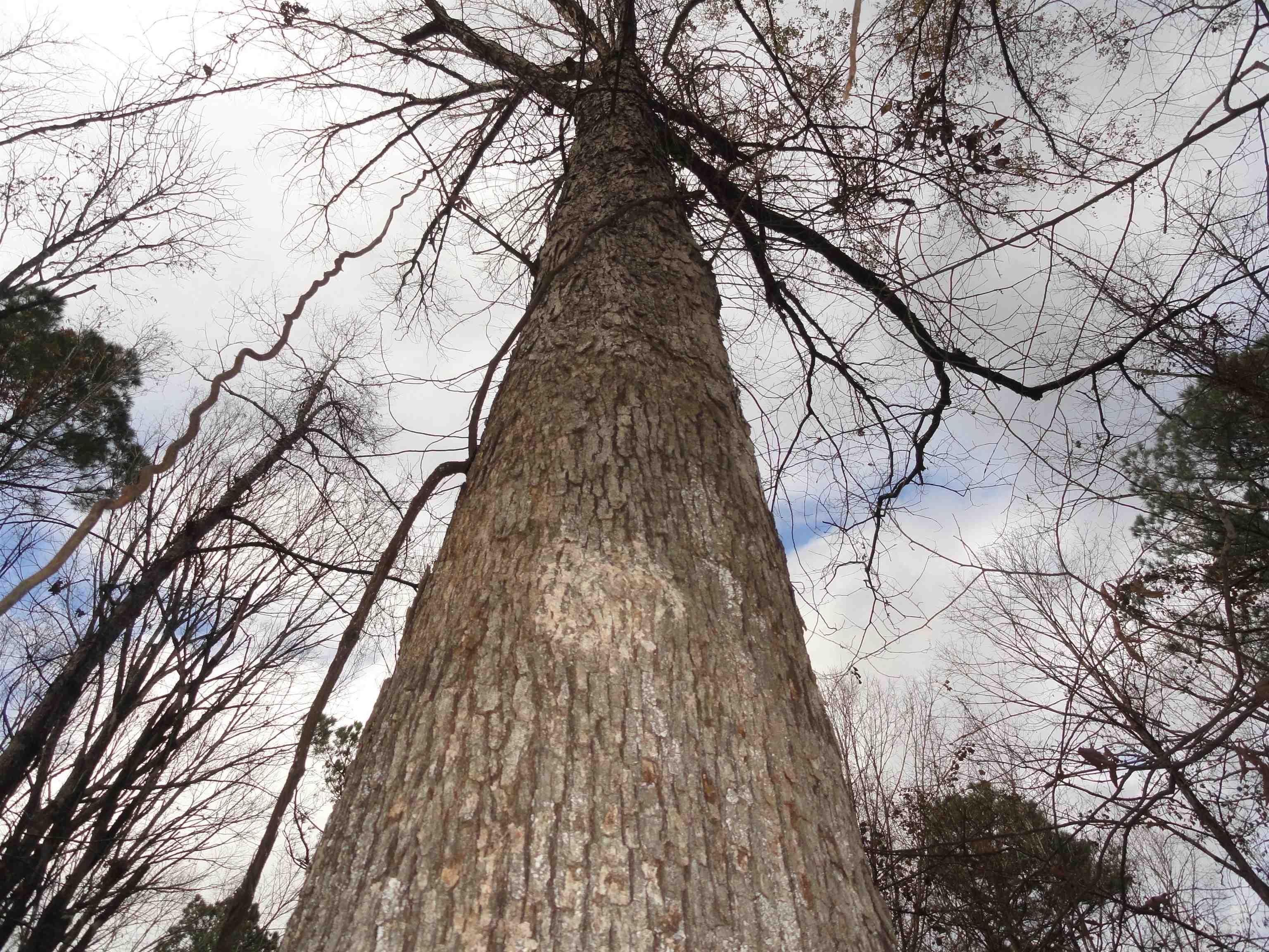 26020 Hensley  Hensley, AR