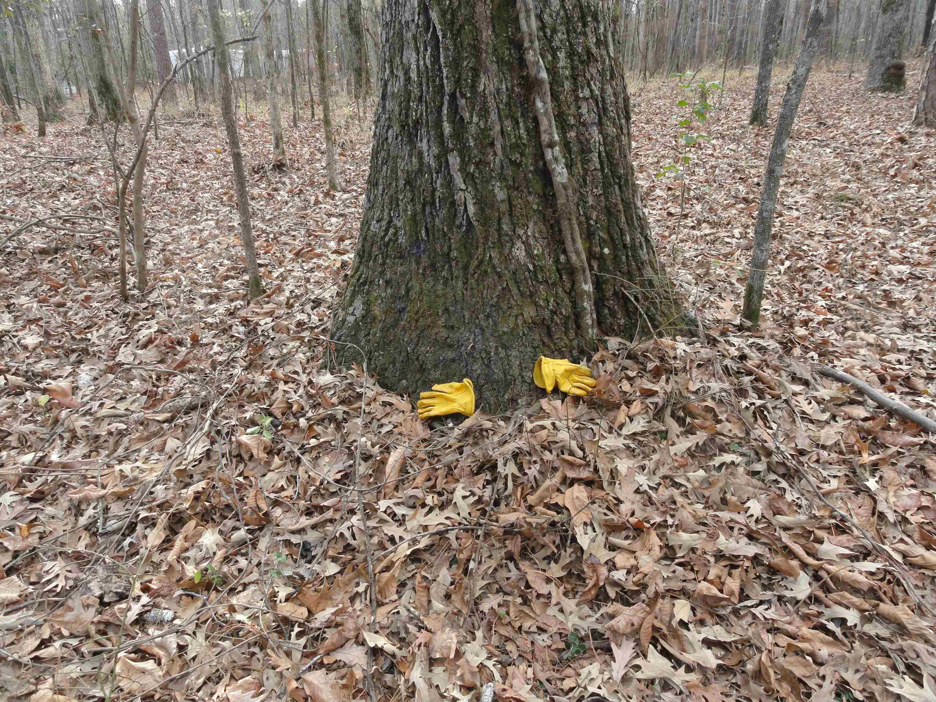 26020 Hensley  Hensley, AR