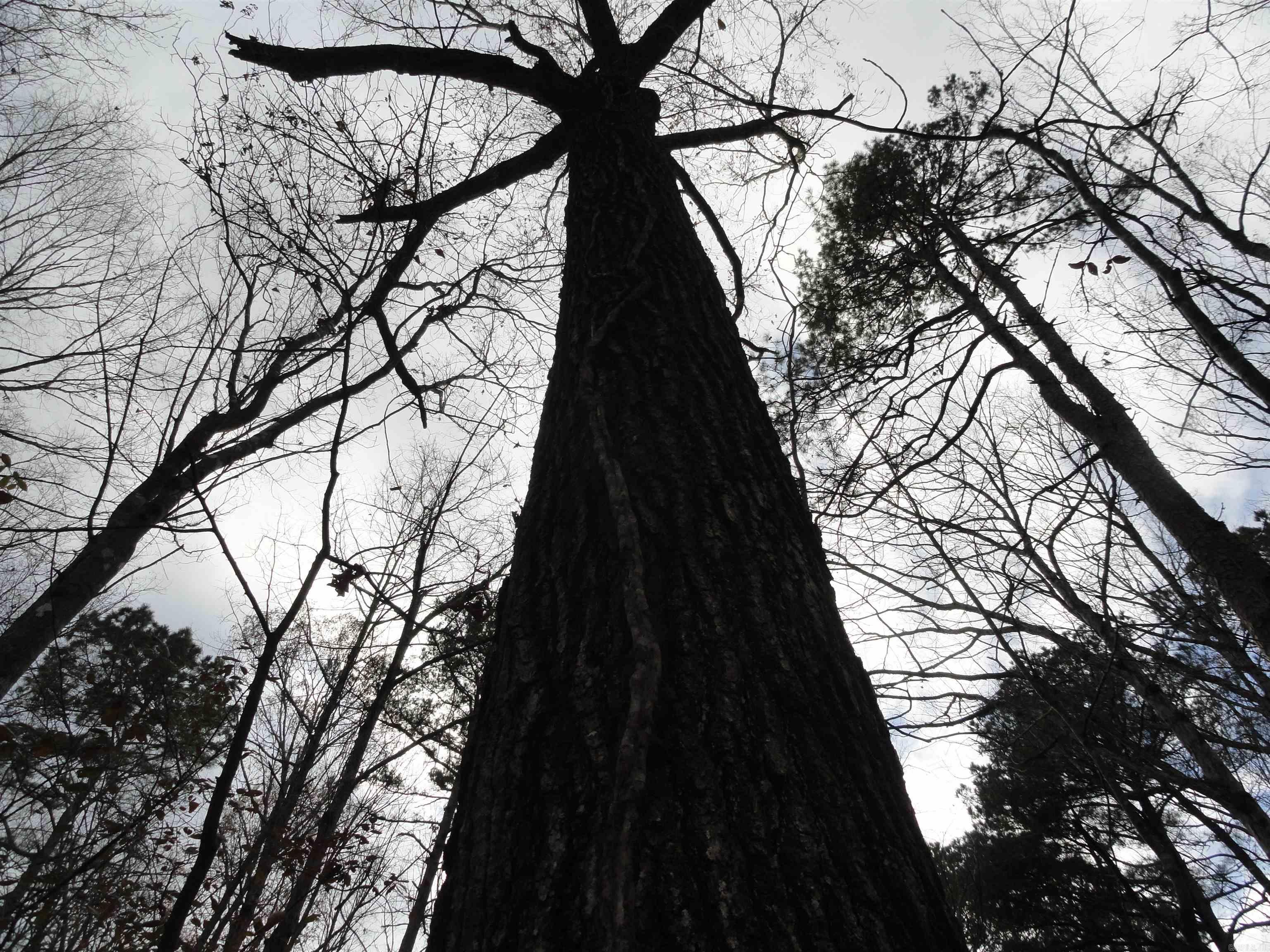 26020 Hensley  Hensley, AR